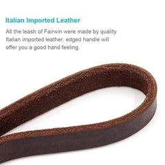 FAIRWIN leather dog leash shown in use for walking a dog.