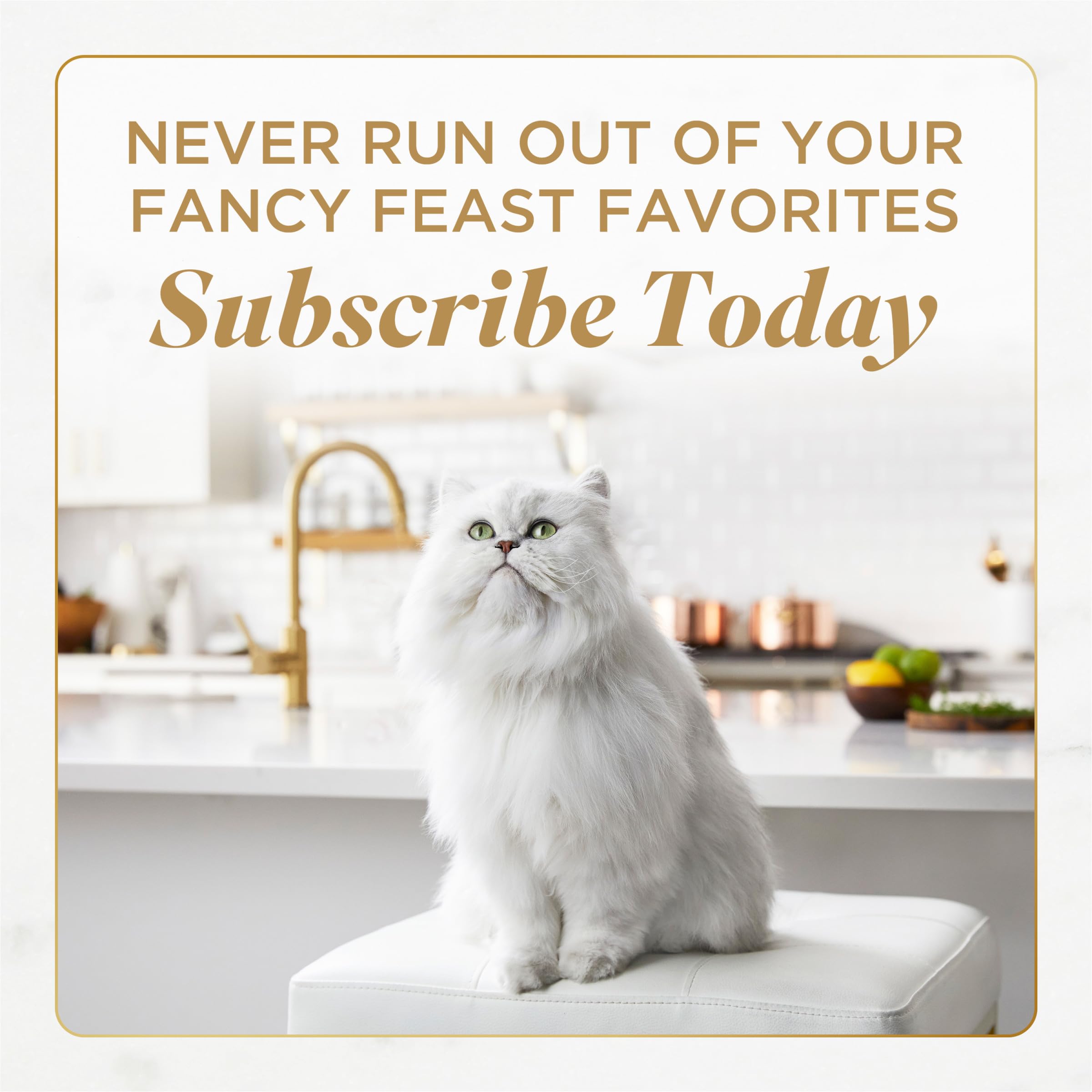Purina Fancy Feast Gems wet cat food entree prepared for serving.