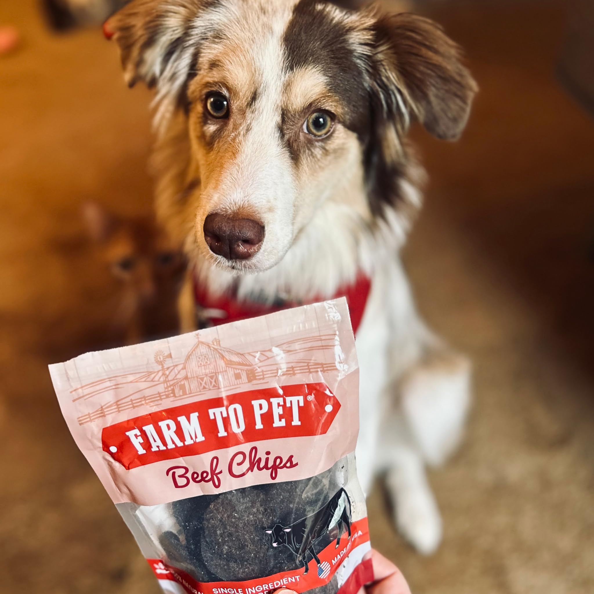 Farm To Pet Beef Chips dog treats shown with the ingredient information visible.
