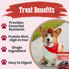 Farm To Pet Beef Chips dog treats shown as a reward during dog training.