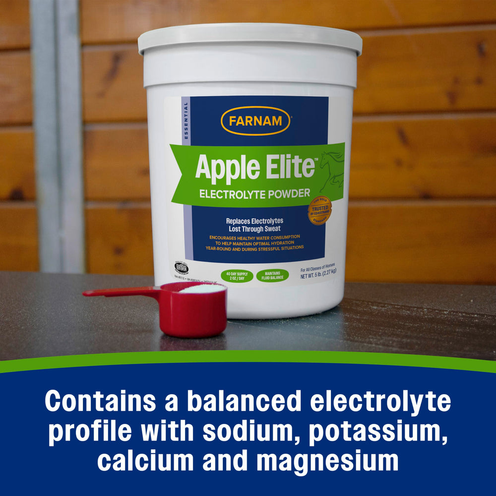 Farnam horse electrolyte powder shown for direct feeding.