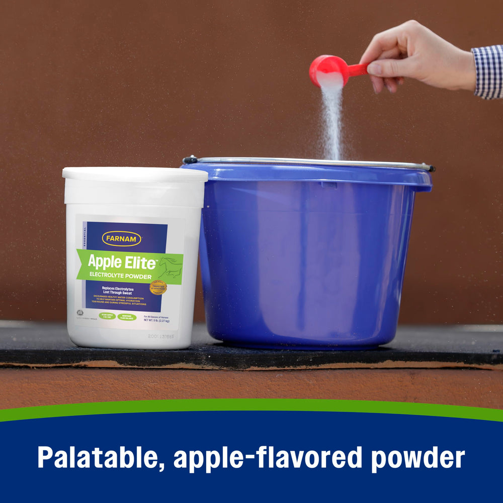 Farnam horse electrolyte powder for a horse's exercise routine.