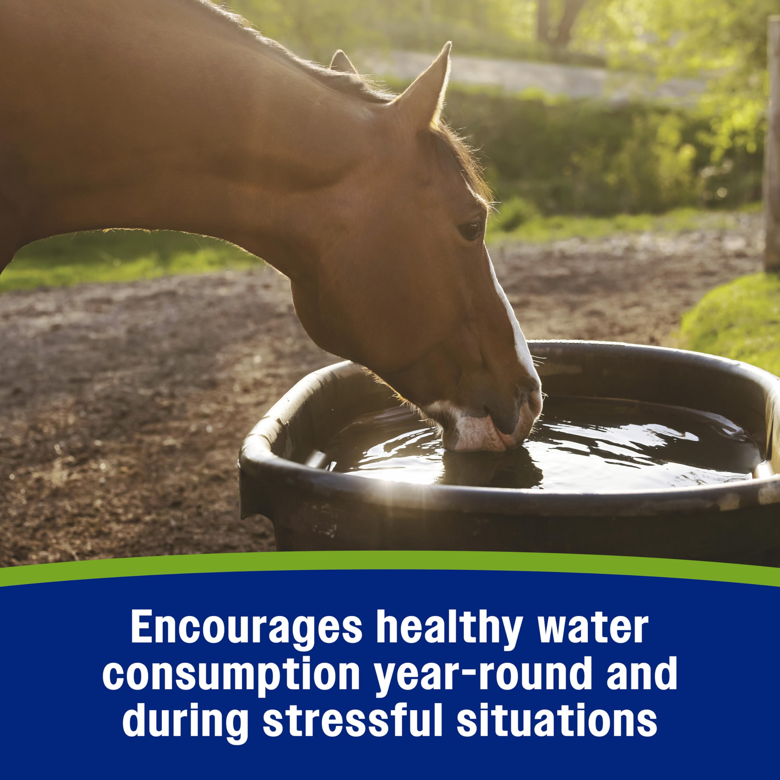 Farnam horse electrolyte powder shown as a feed supplement.