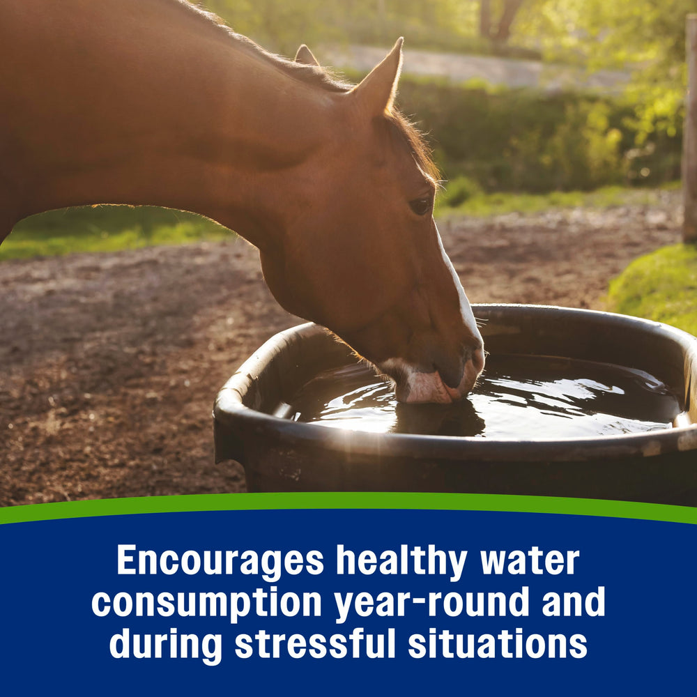 Farnam horse electrolyte powder shown as a feed supplement.