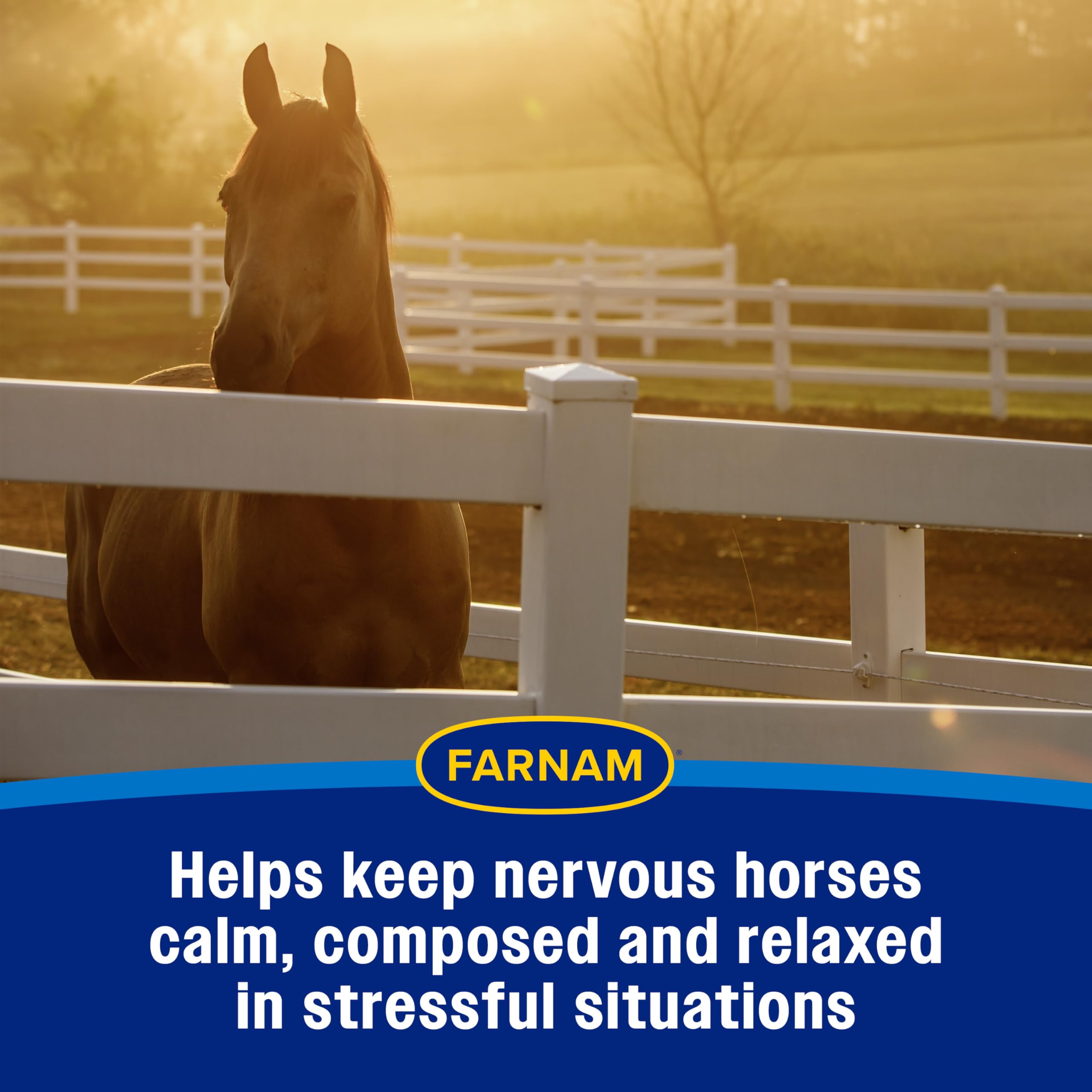 Farnam Quietex II Horse Calming Paste shown as a single serving.