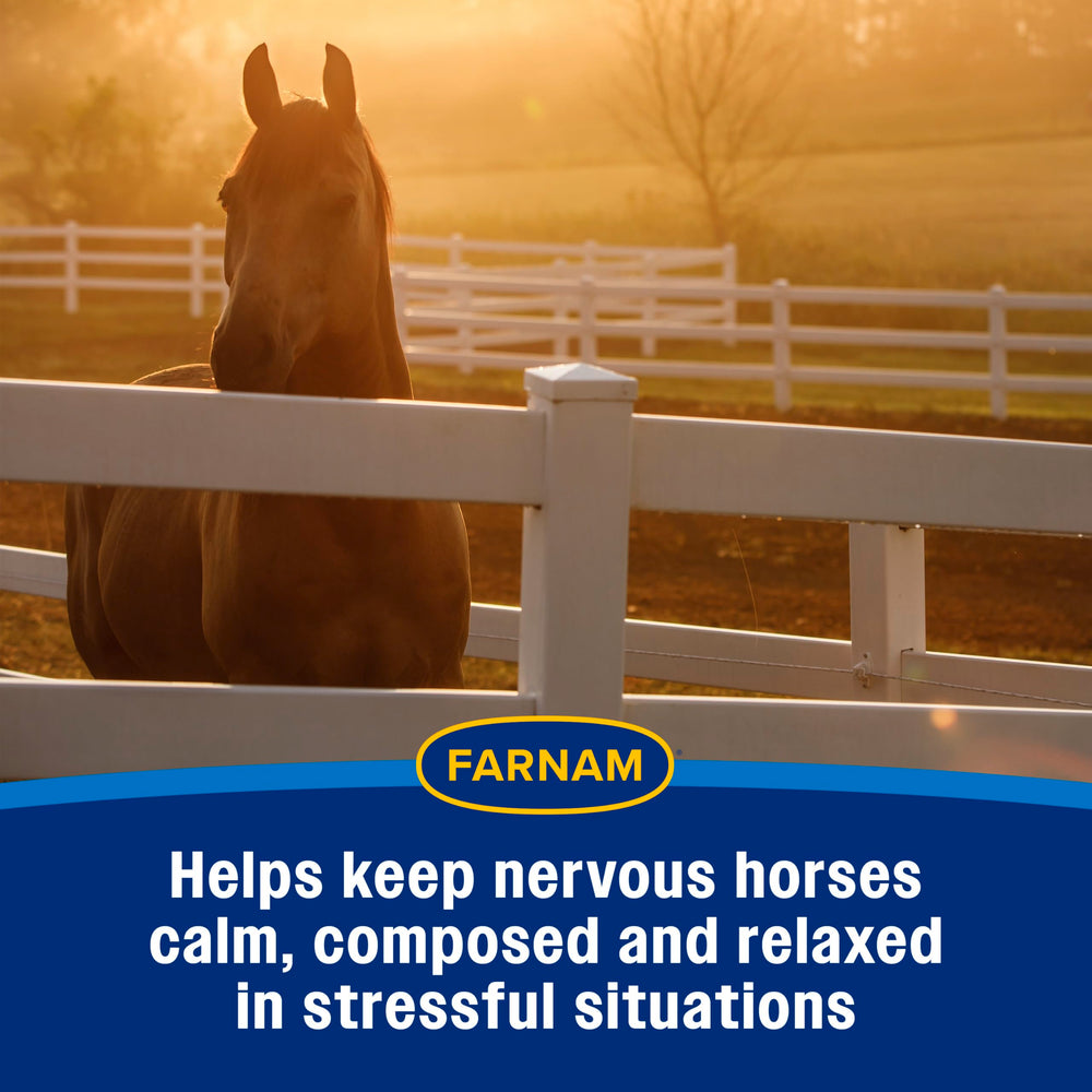 Farnam Quietex II Horse Calming Paste shown as a single serving.