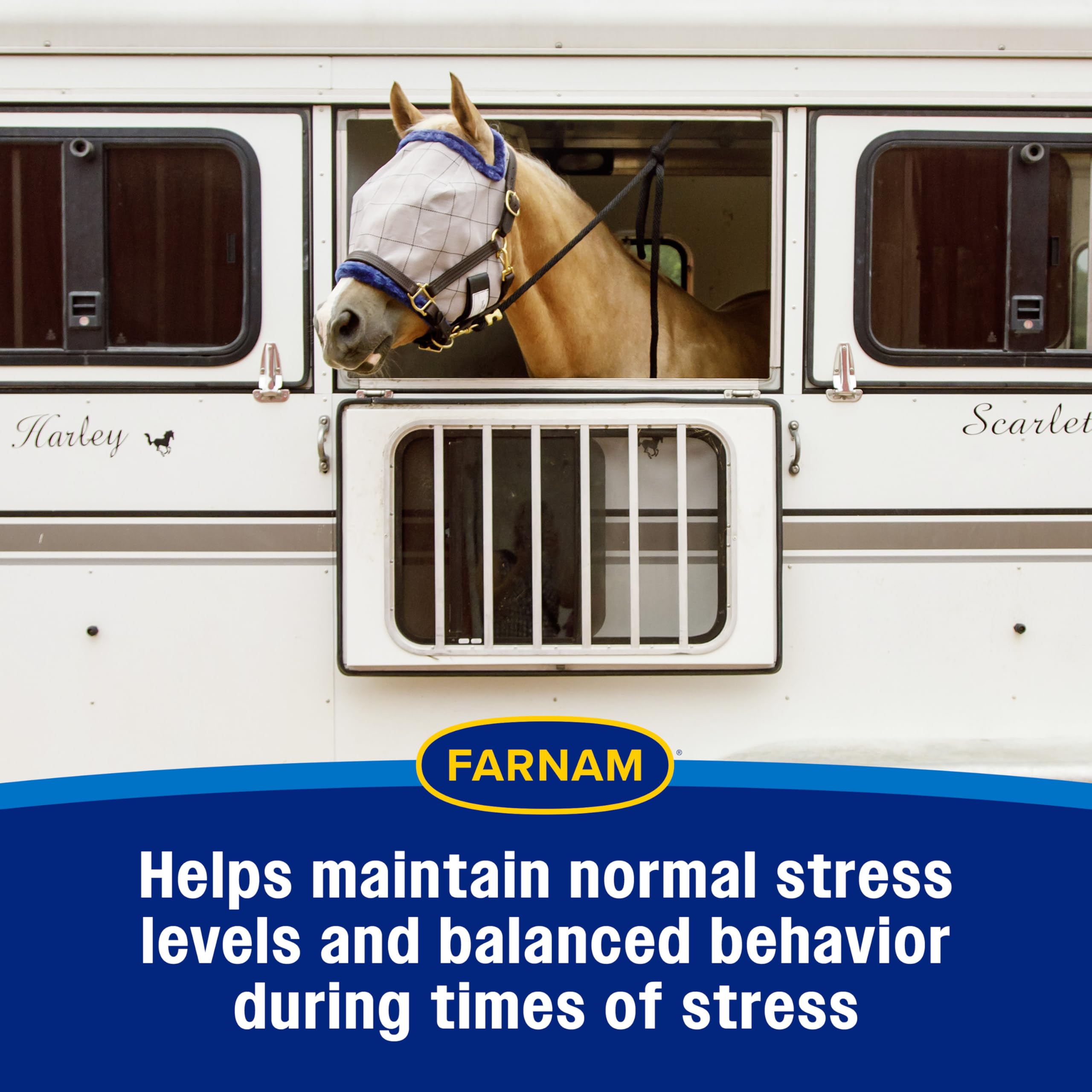 Farnam Quietex II Horse Calming Paste for stressful trailering situations.