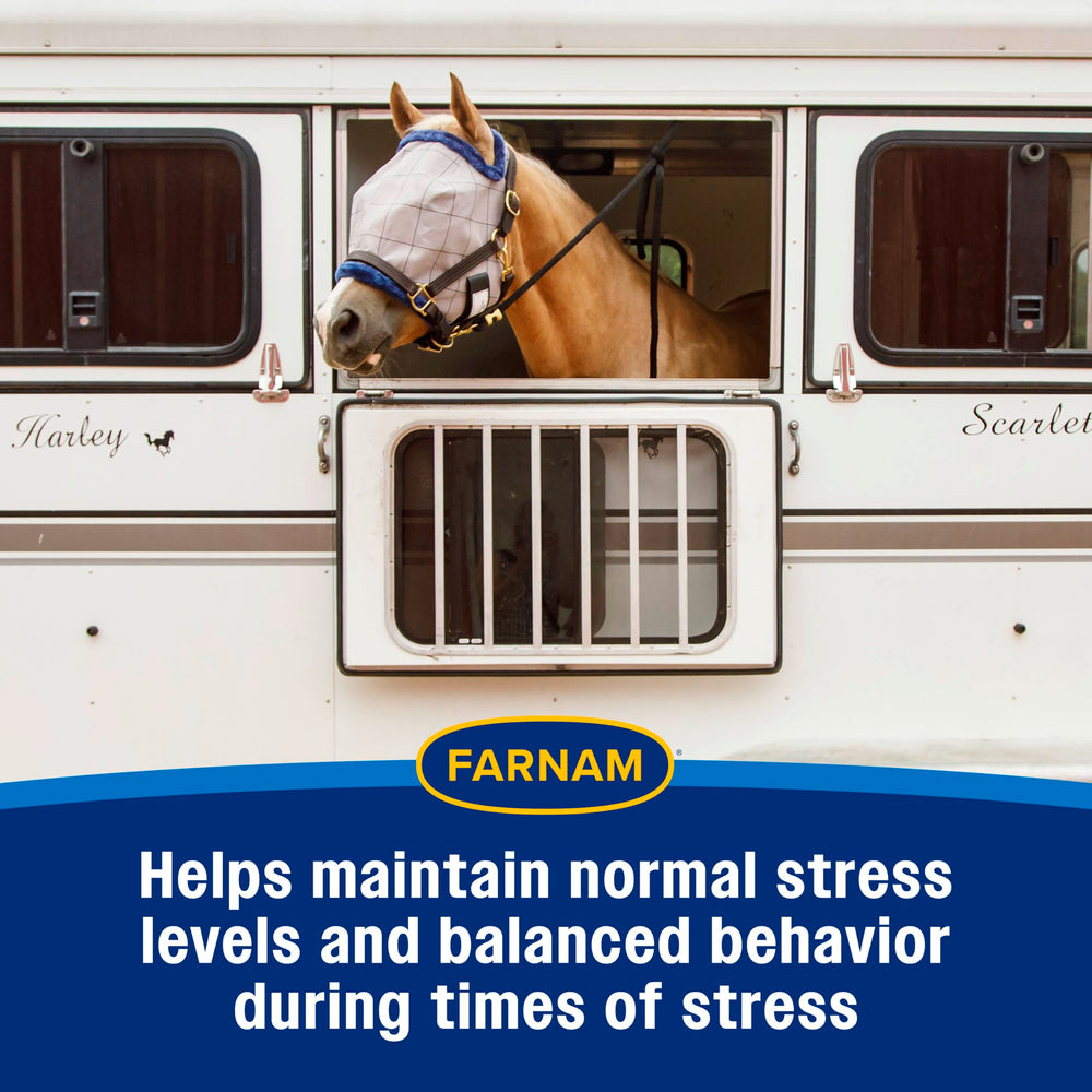 Farnam Quietex II Horse Calming Paste for stressful trailering situations.