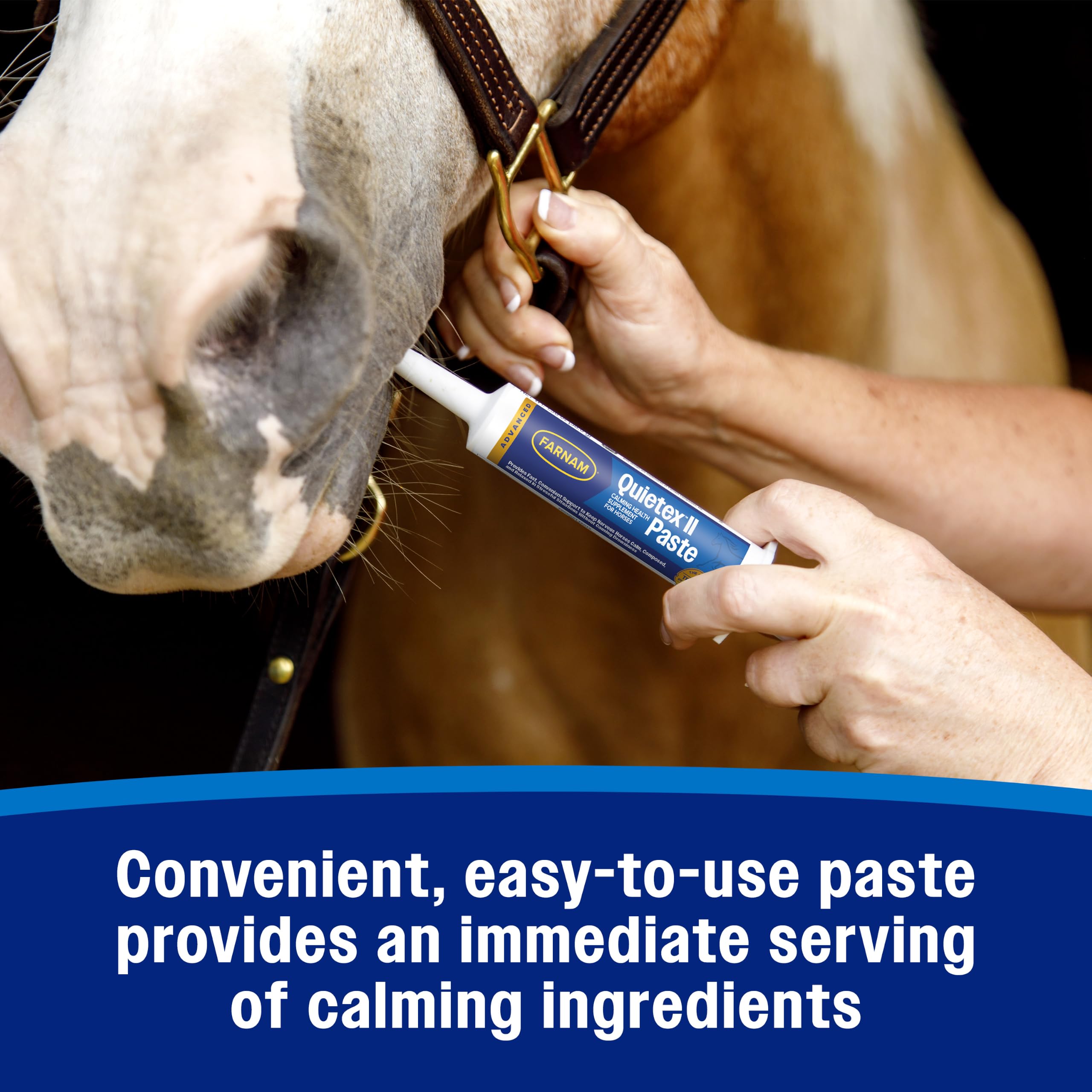 Farnam Quietex II Horse Calming Paste for training situations.