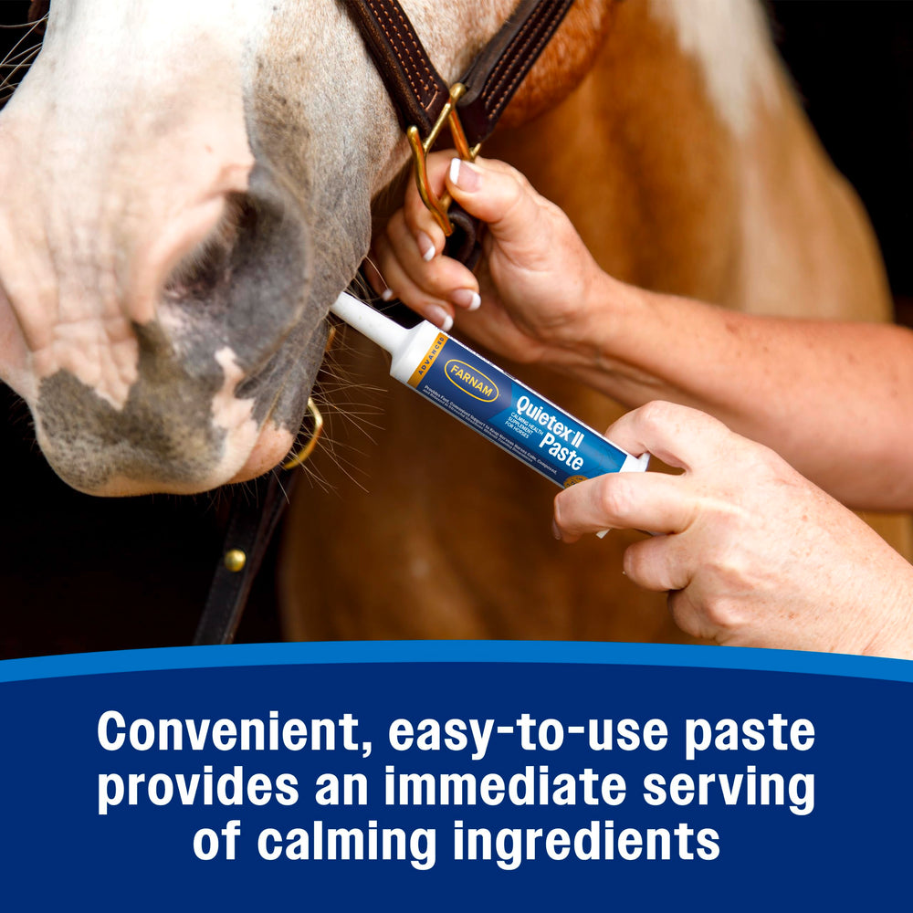 Farnam Quietex II Horse Calming Paste for training situations.