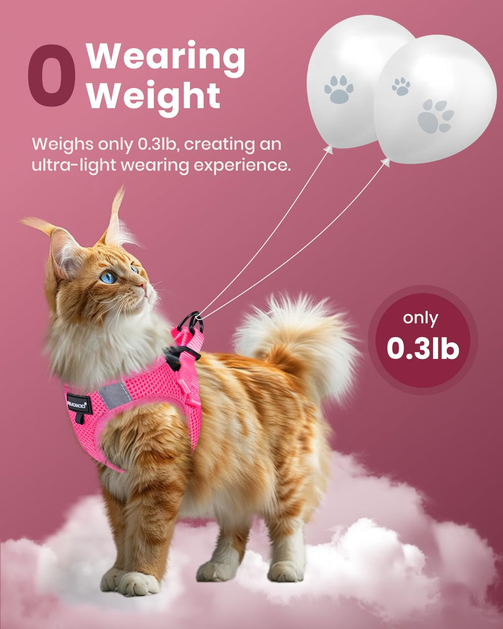 FAYOGOO cat harness detail showing the buckle and fastening.