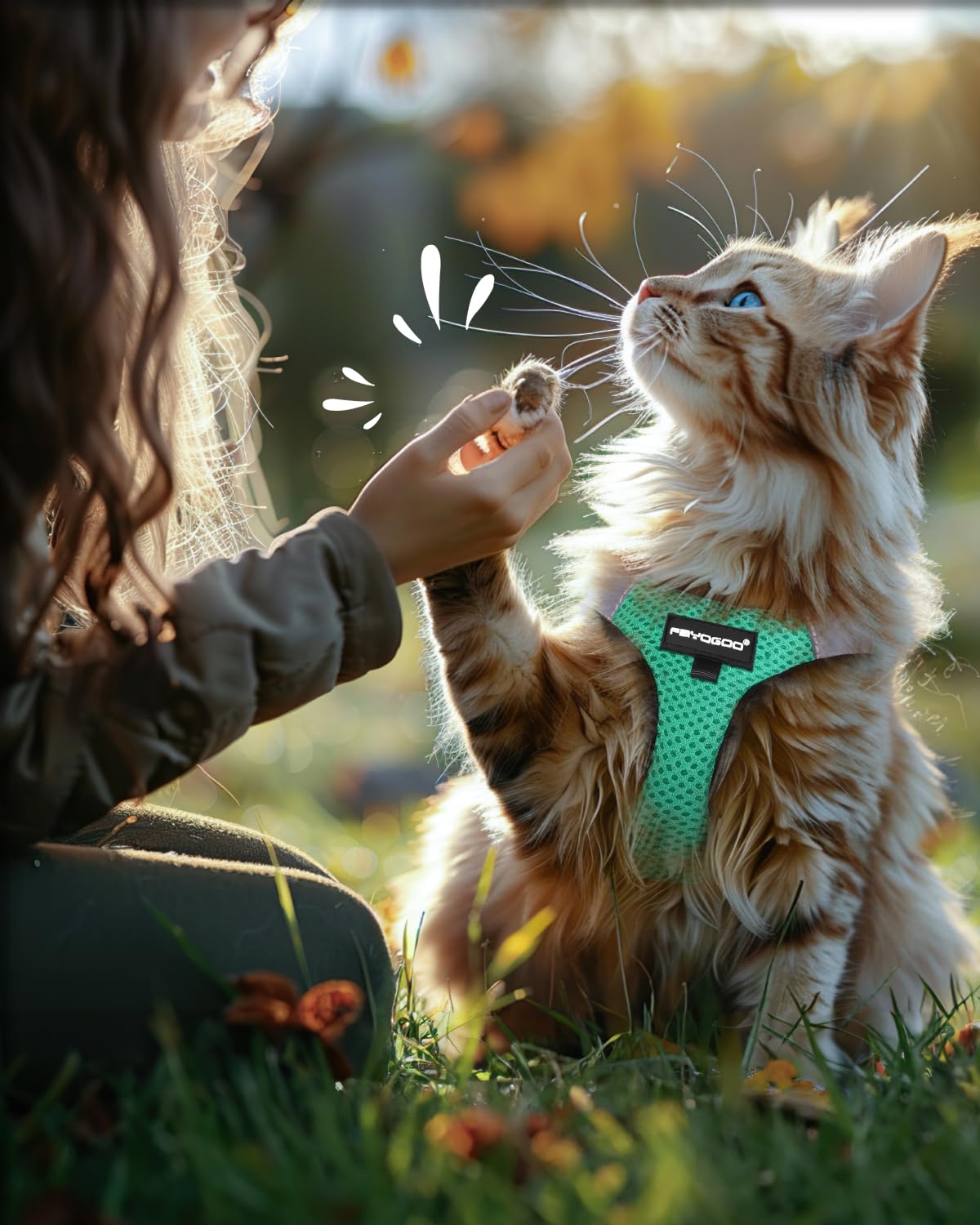 FAYOGOO cat harness shown in its bright color options.