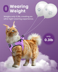 FAYOGOO cat harness and leash set highlighting its reflective strip.