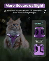 FAYOGOO cat harness and leash set showing the step-in vest design.