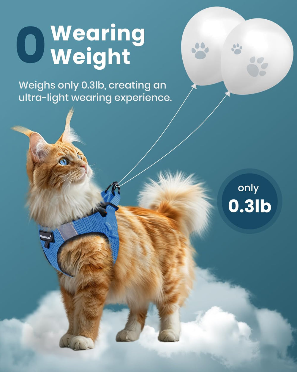 FAYOGOO cat harness and leash set highlighting the Velcro, buckle and webbing.