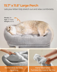 Feandrea Cat Tree upper cave shown with its two access doors.