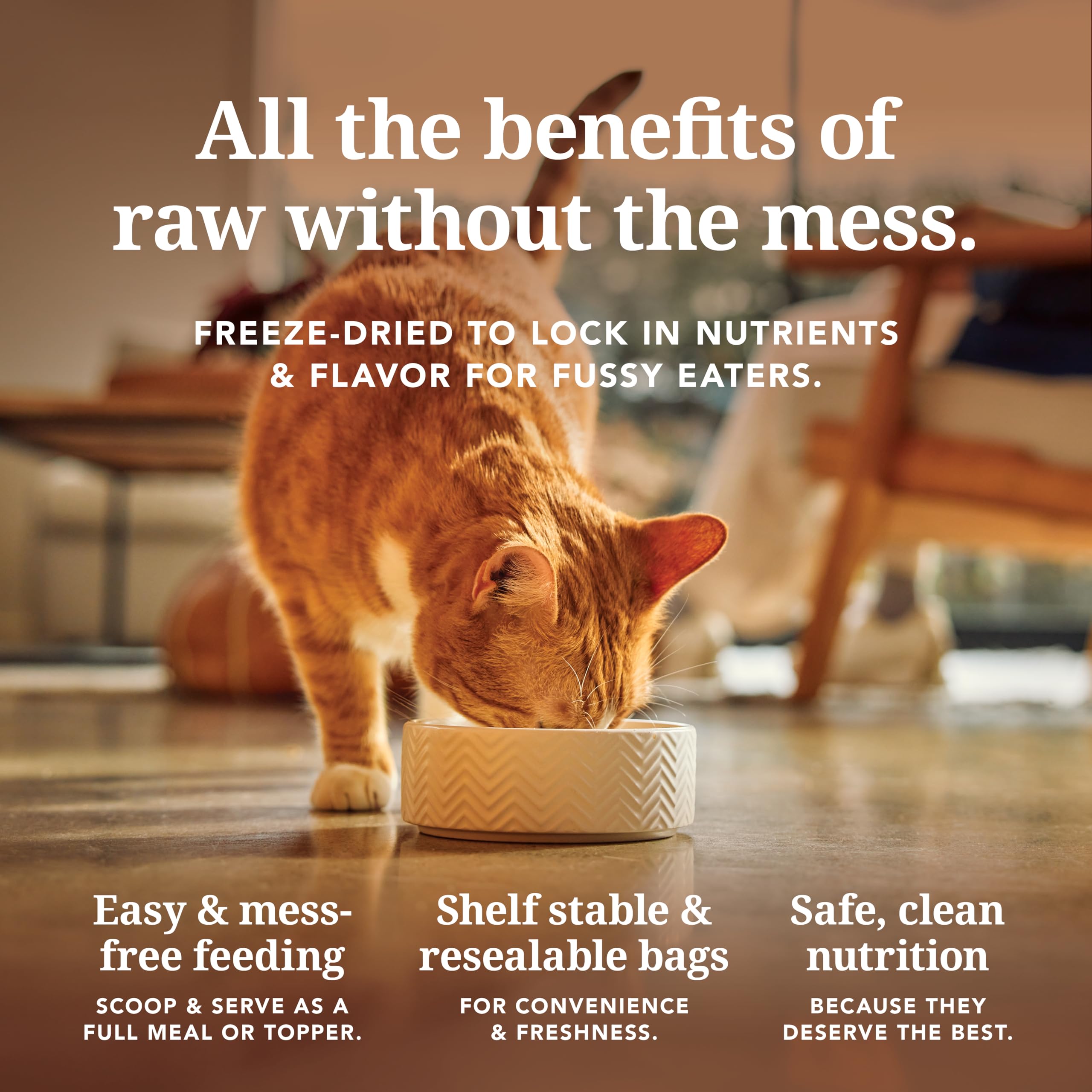 Feline Natural cat supplement shown in a serving view.