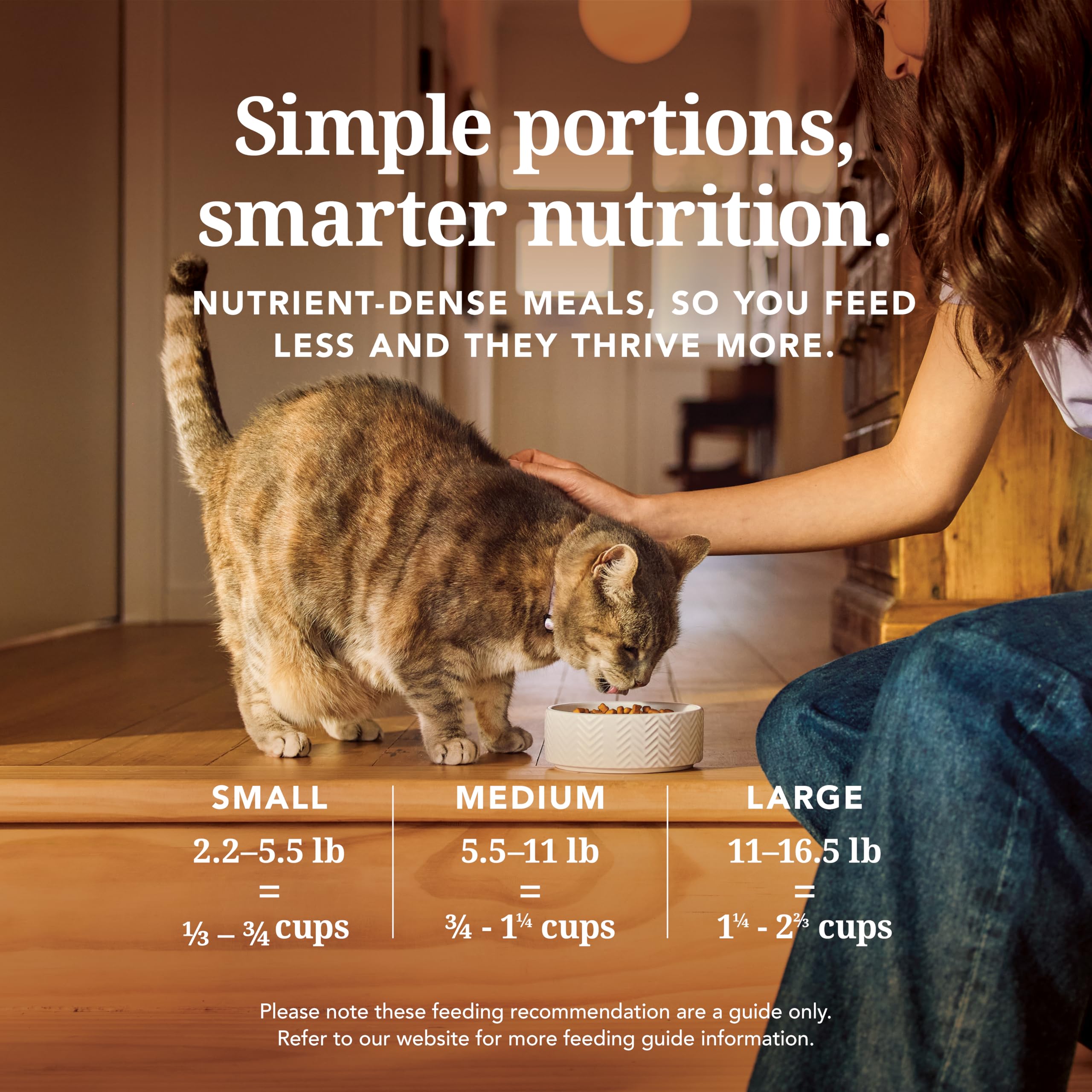 Feline Natural cat supplement shown as a treat for a cat.