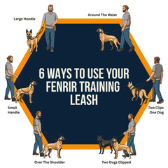 Fenrir dog training leash close-up showing one locking carabiner clip.