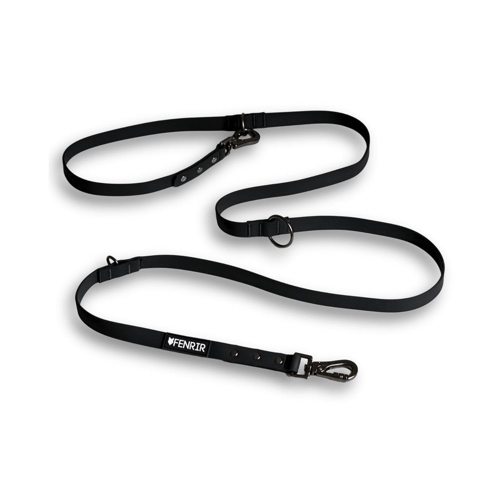 Fenrir dog training leash shown from the front with its black double-ended lead.