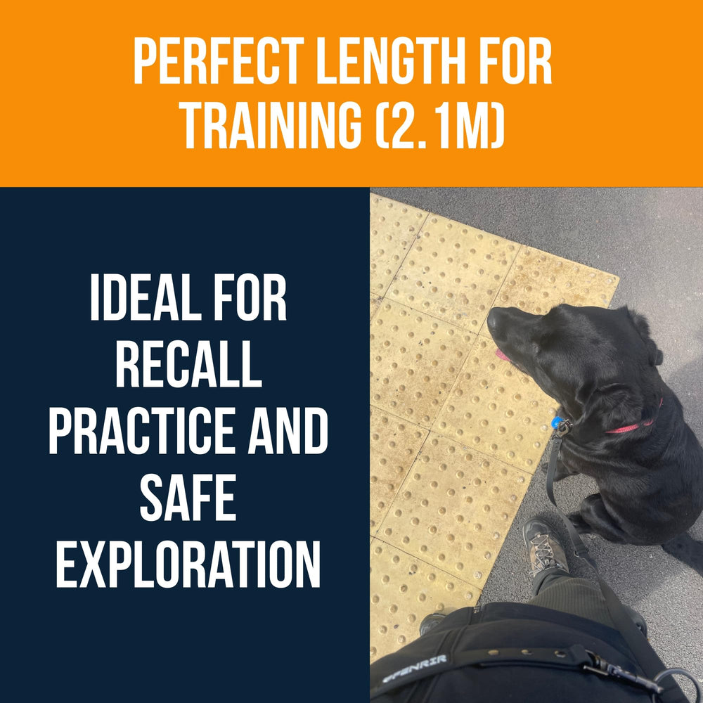 Fenrir dog training leash showing the grip area used for handling.