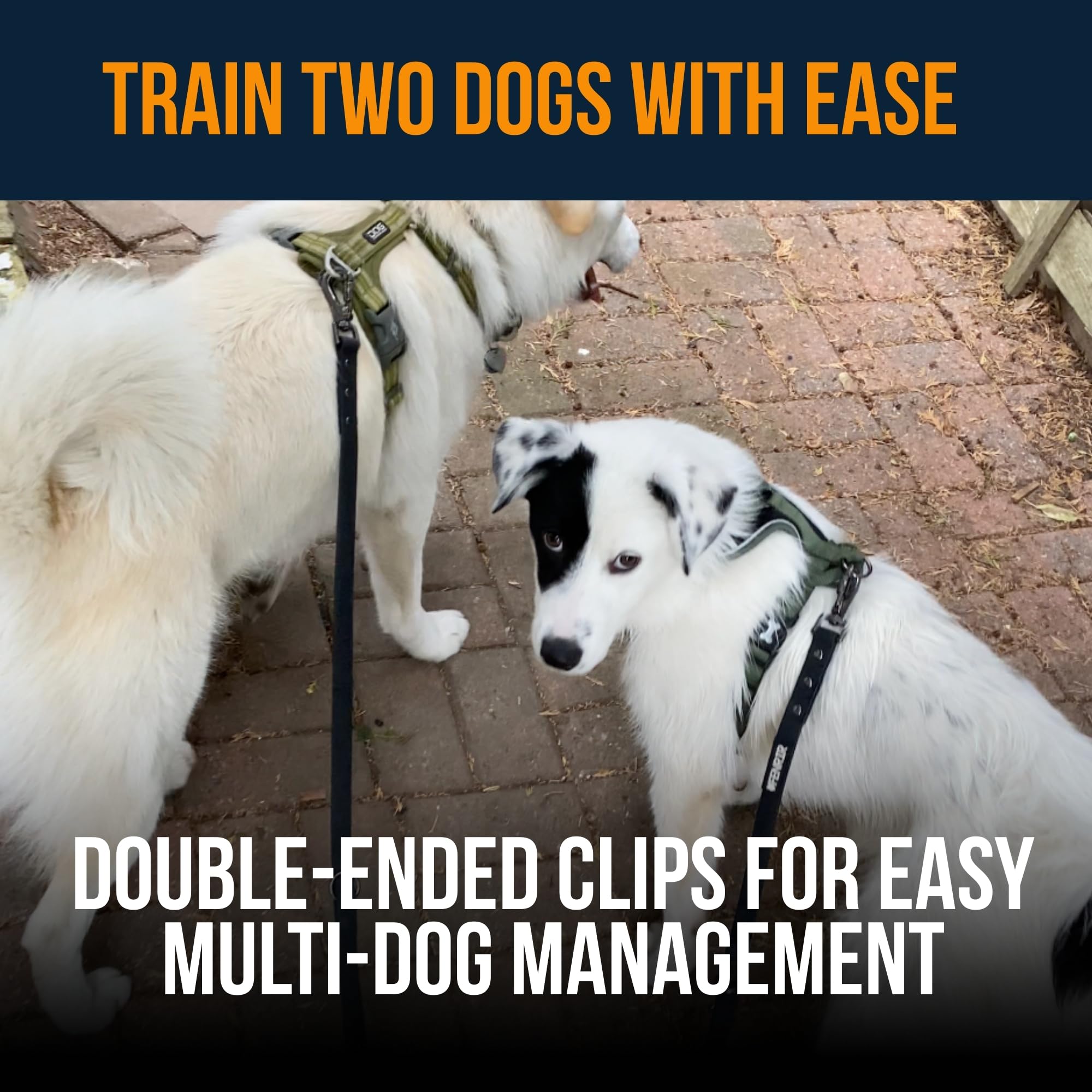 Fenrir dog training leash arranged over the shoulder for hands-free handling.
