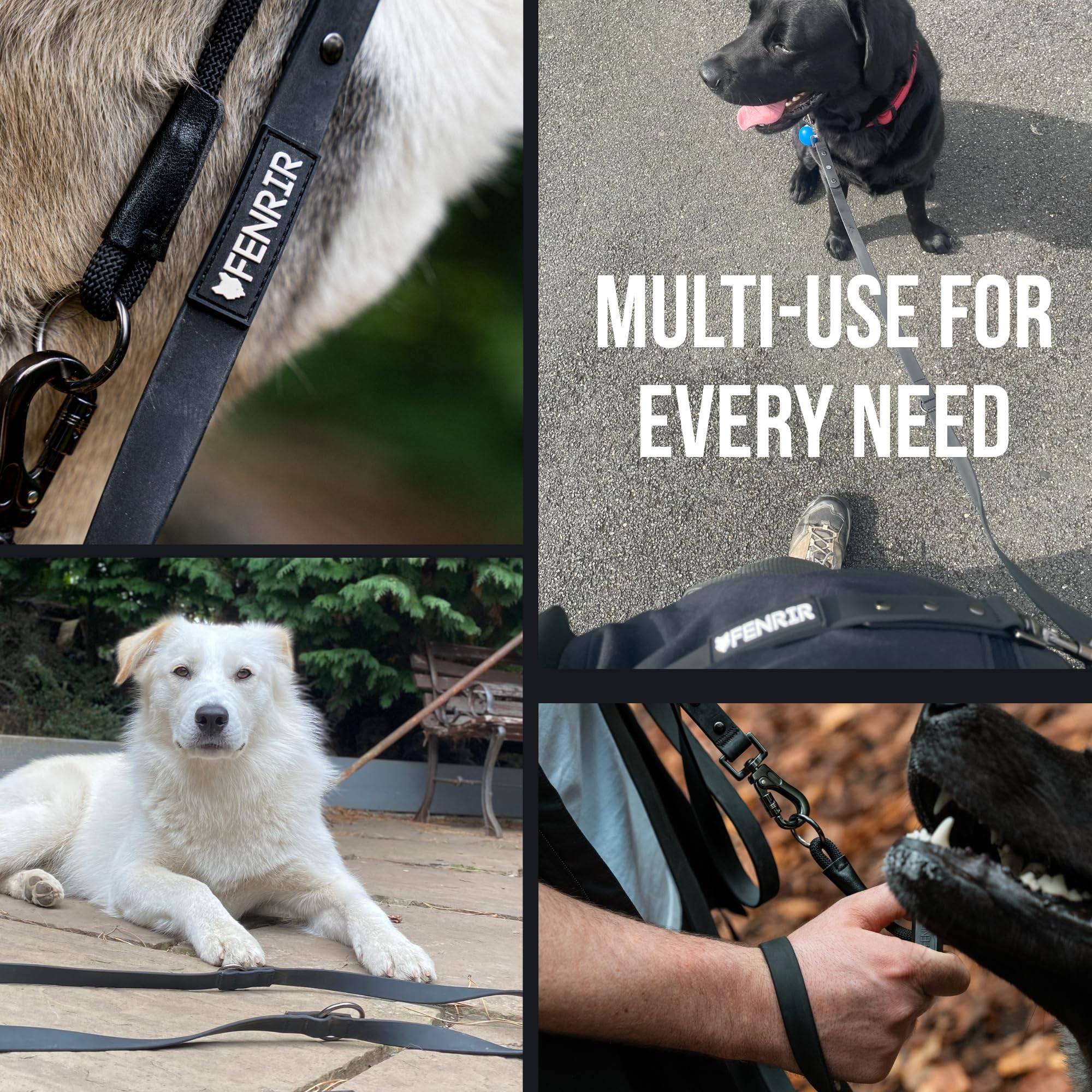 Fenrir dog training leash arranged around the waist for hands-free handling.