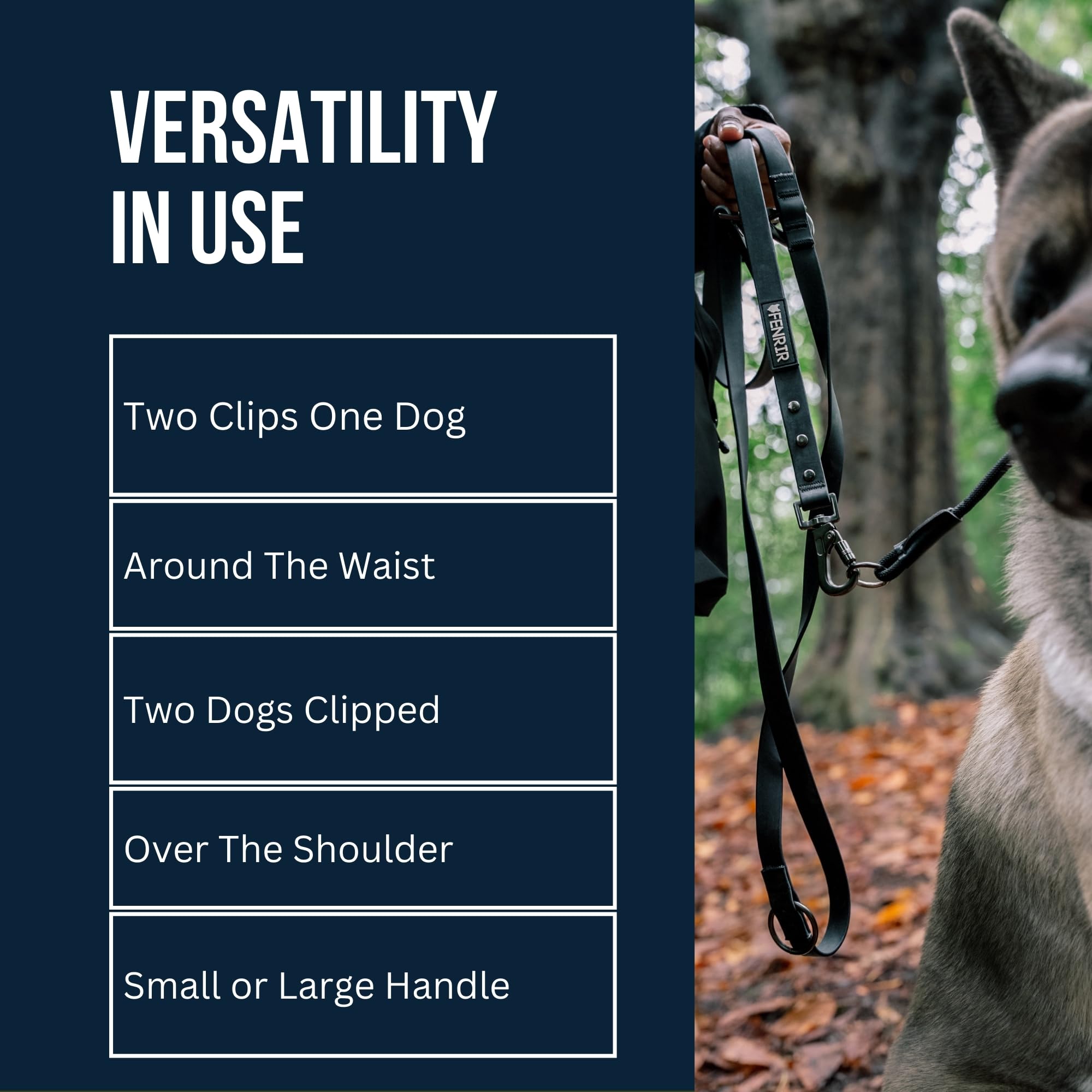Fenrir dog training leash shown in use during a dog walk.