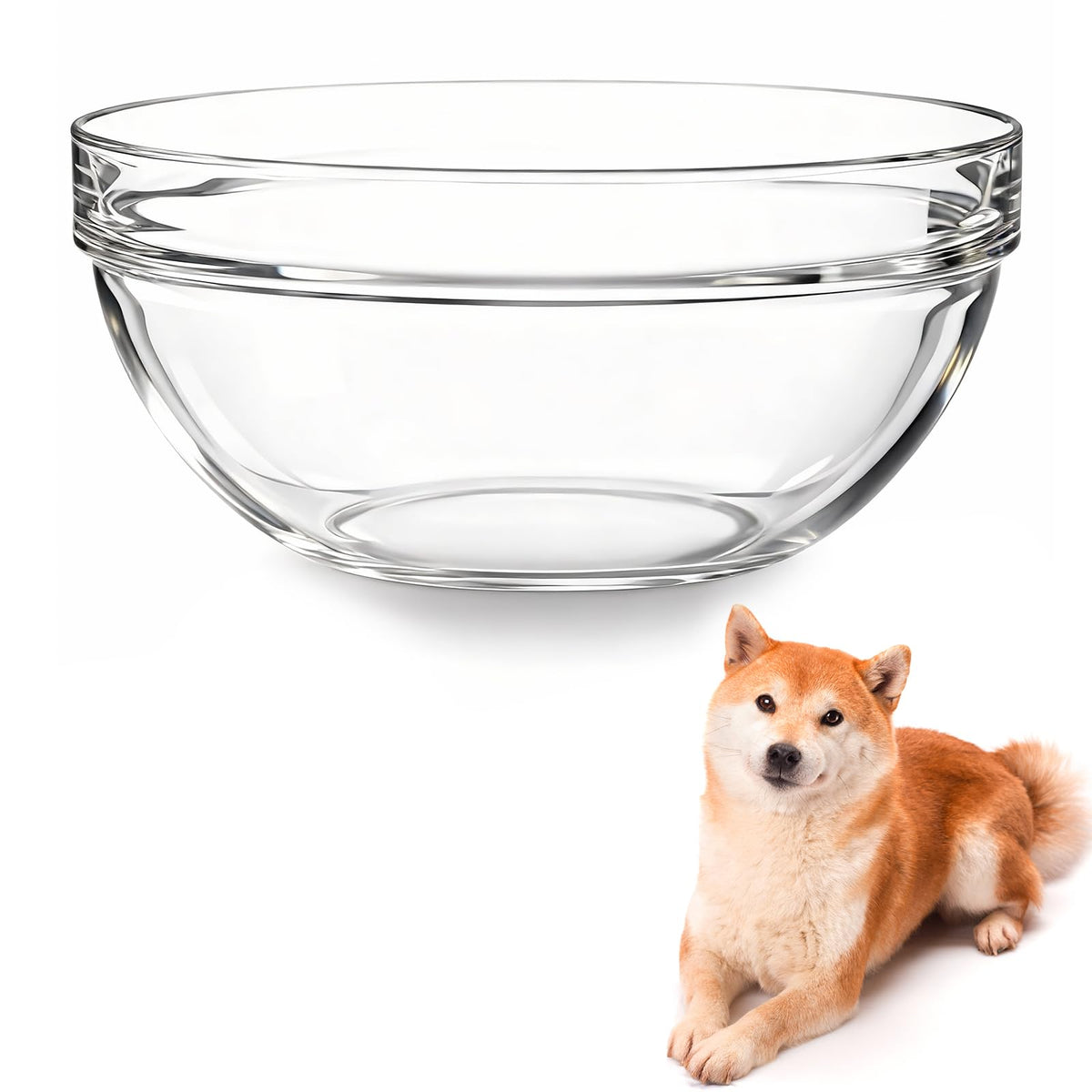 Feoyoho replacement glass bowl shown from the front.