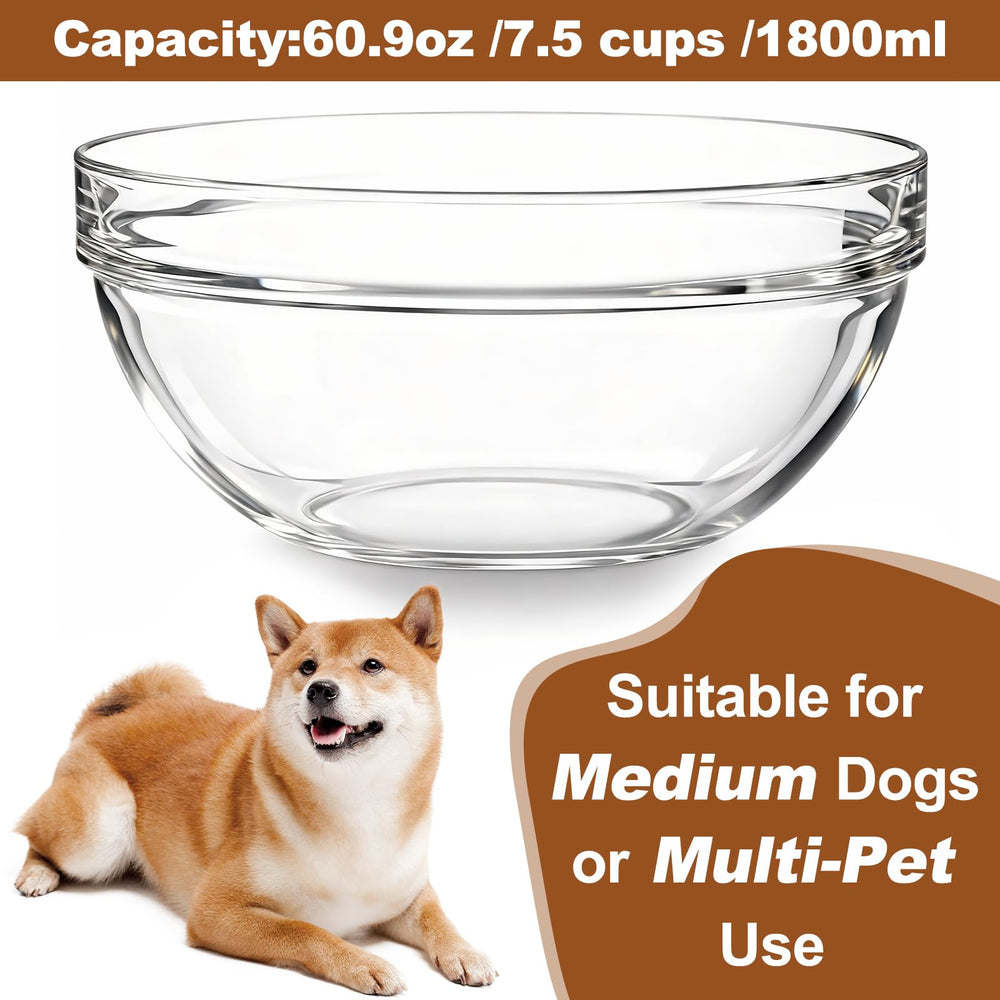 Feoyoho replacement glass bowl viewed from above to show its interior.