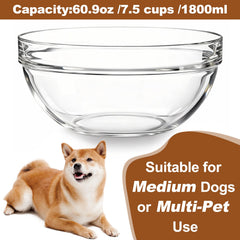 Feoyoho replacement glass bowl viewed from above to show its interior.