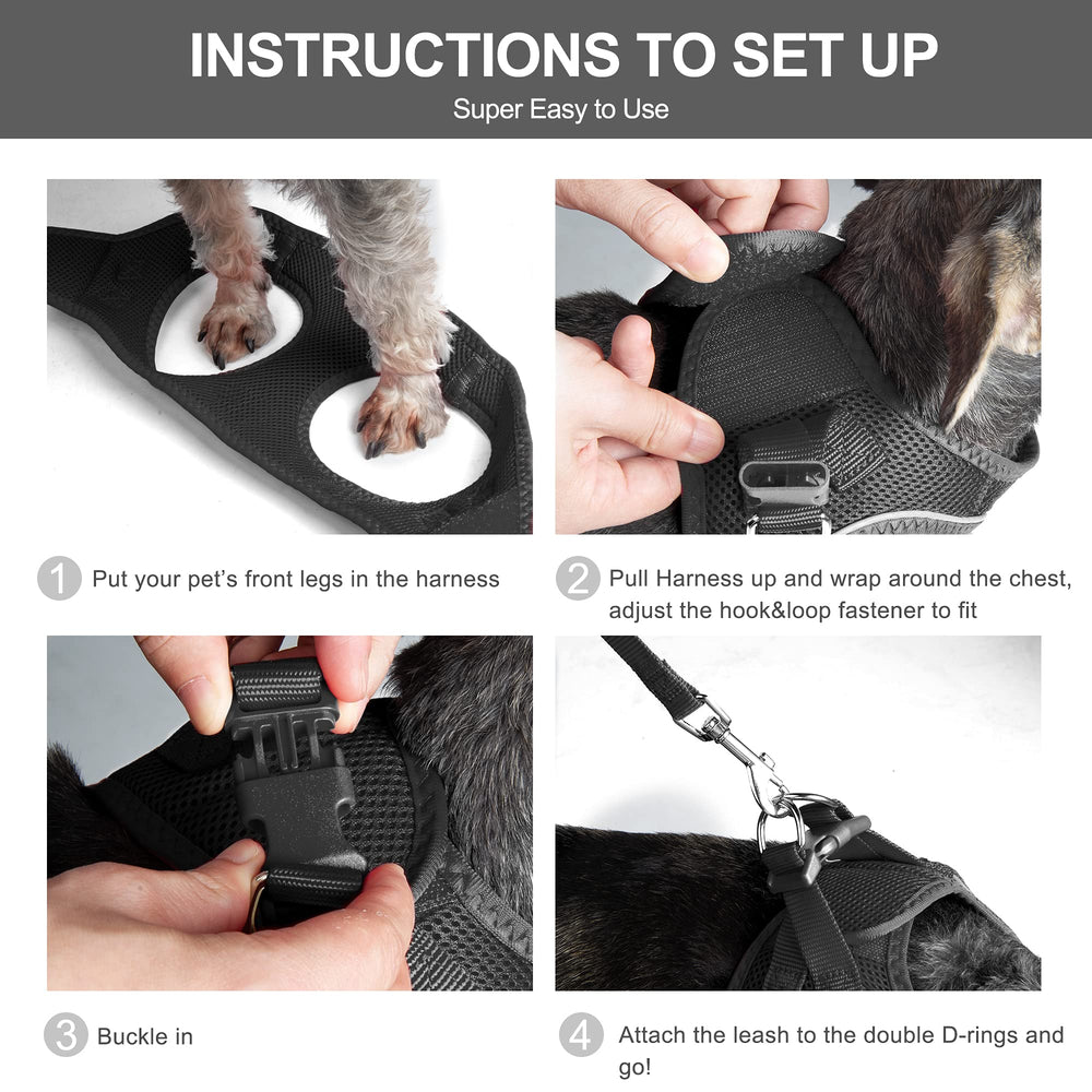 Fida cat harness detail showing the buckle, hook-and-loop fastener and double D-rings.
