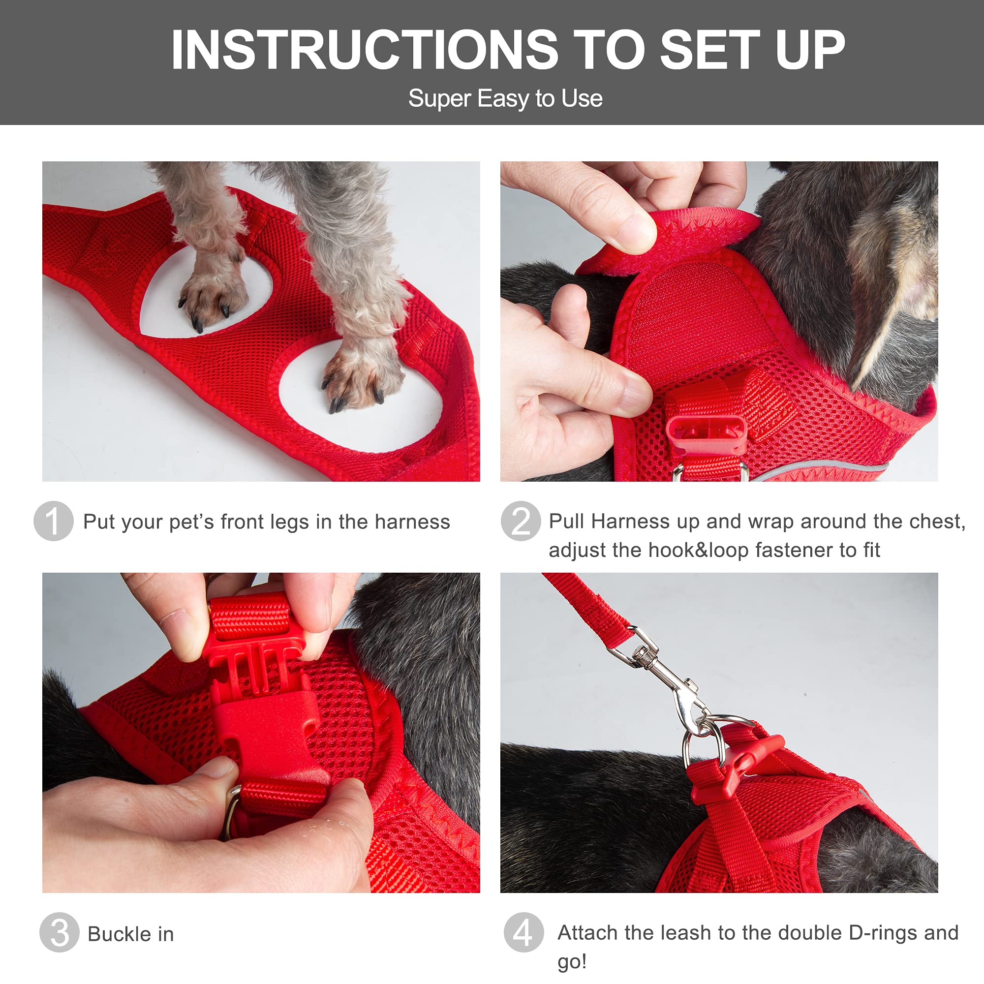 Fida cat harness and leash set with the included leash shown.
