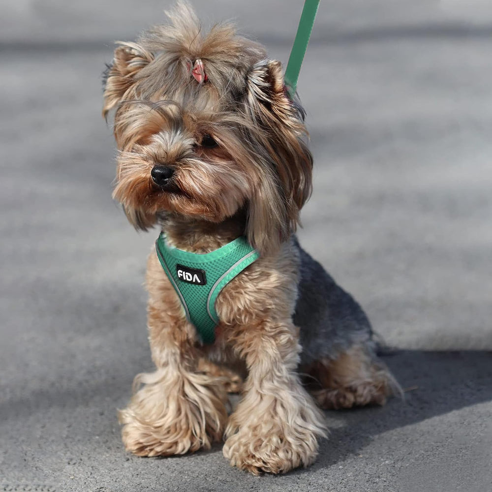 Fida cat harness and leash set displayed with the included leash.