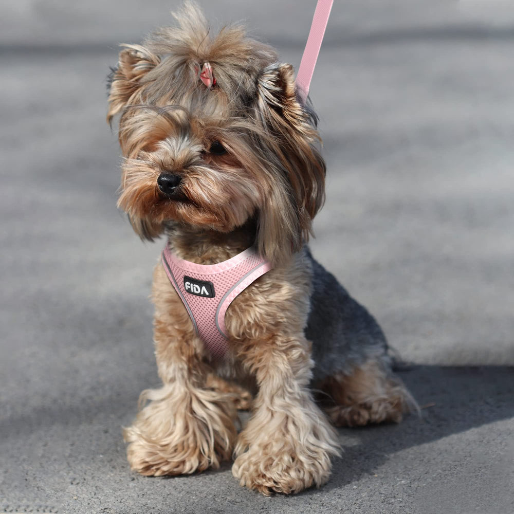 Fida Comfy Dog Harness shown from the back with its D-rings.
