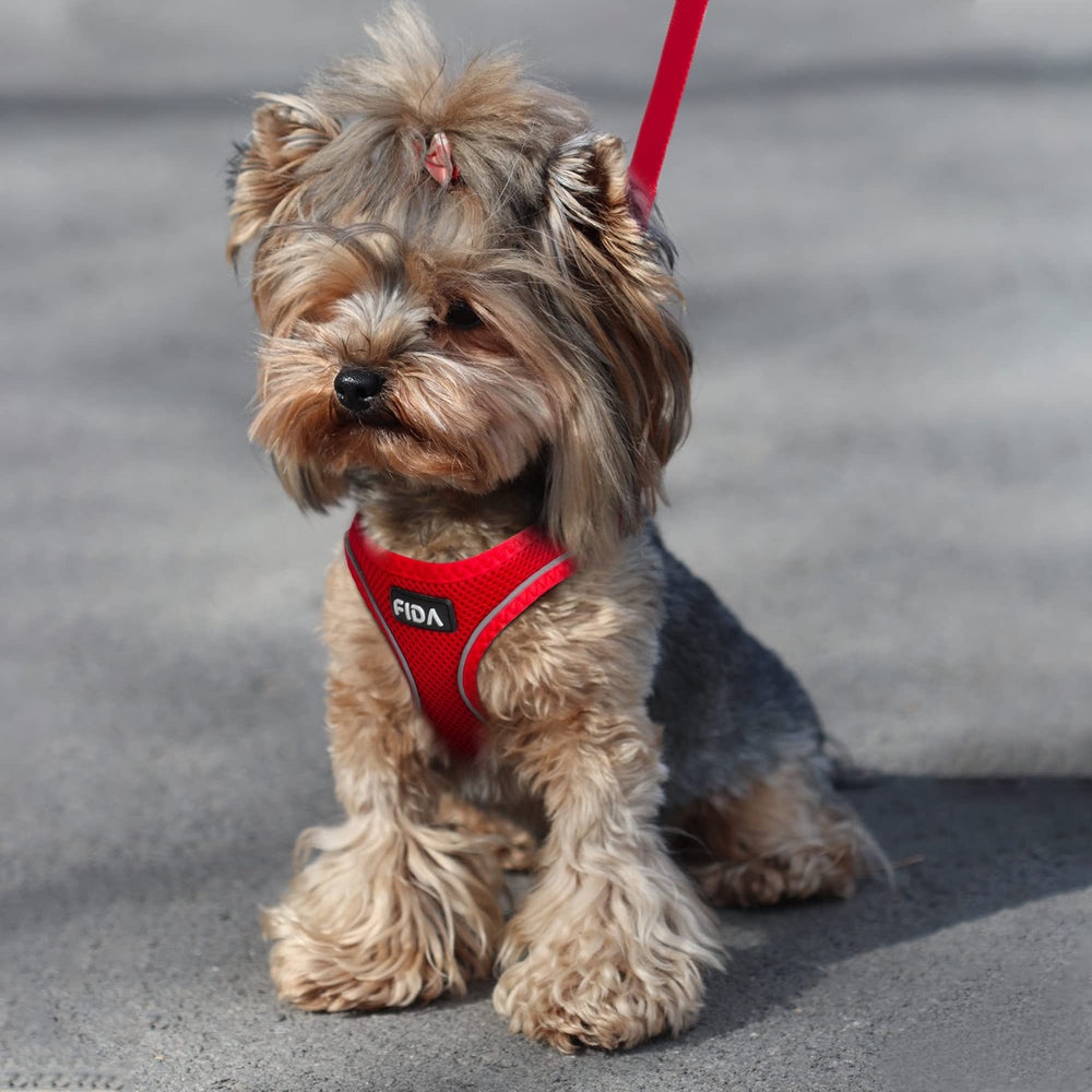 Fida Comfy Dog Harness pictured with the included leash.