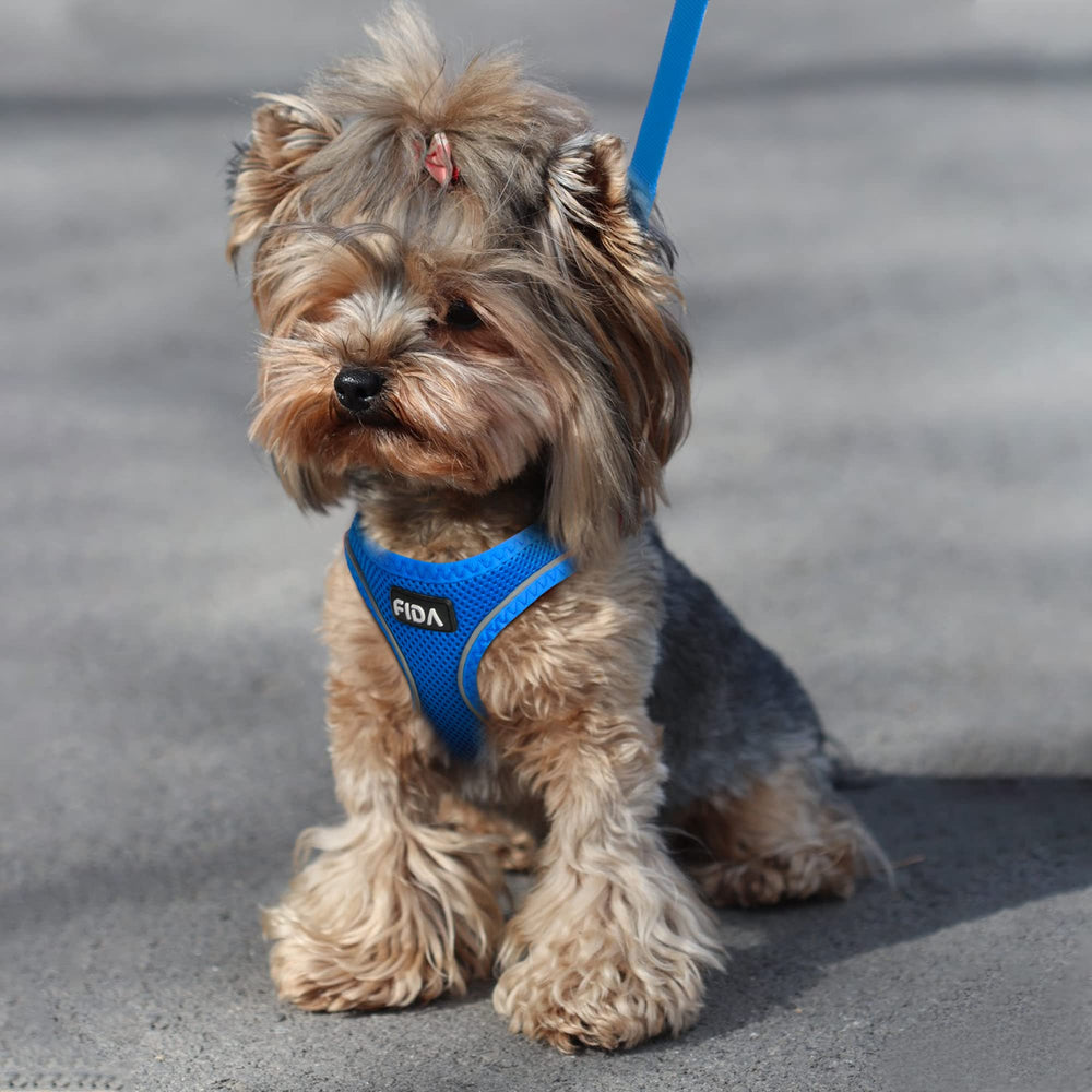 Fida Comfy Dog Harness pictured with the included leash.
