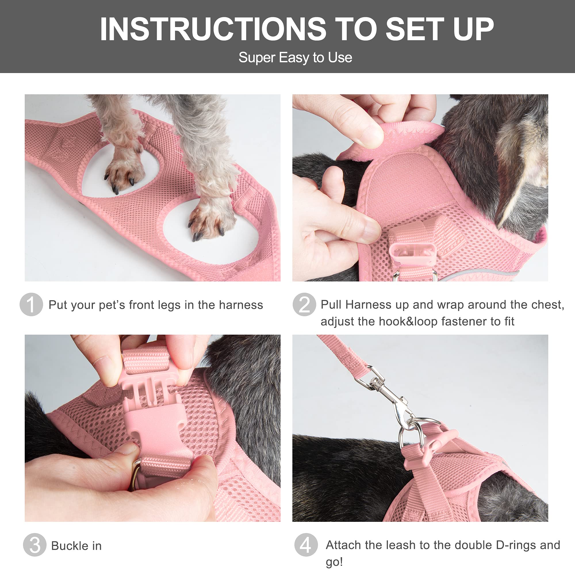 Fida Comfy Dog Harness shown being worn in a step-in fit.