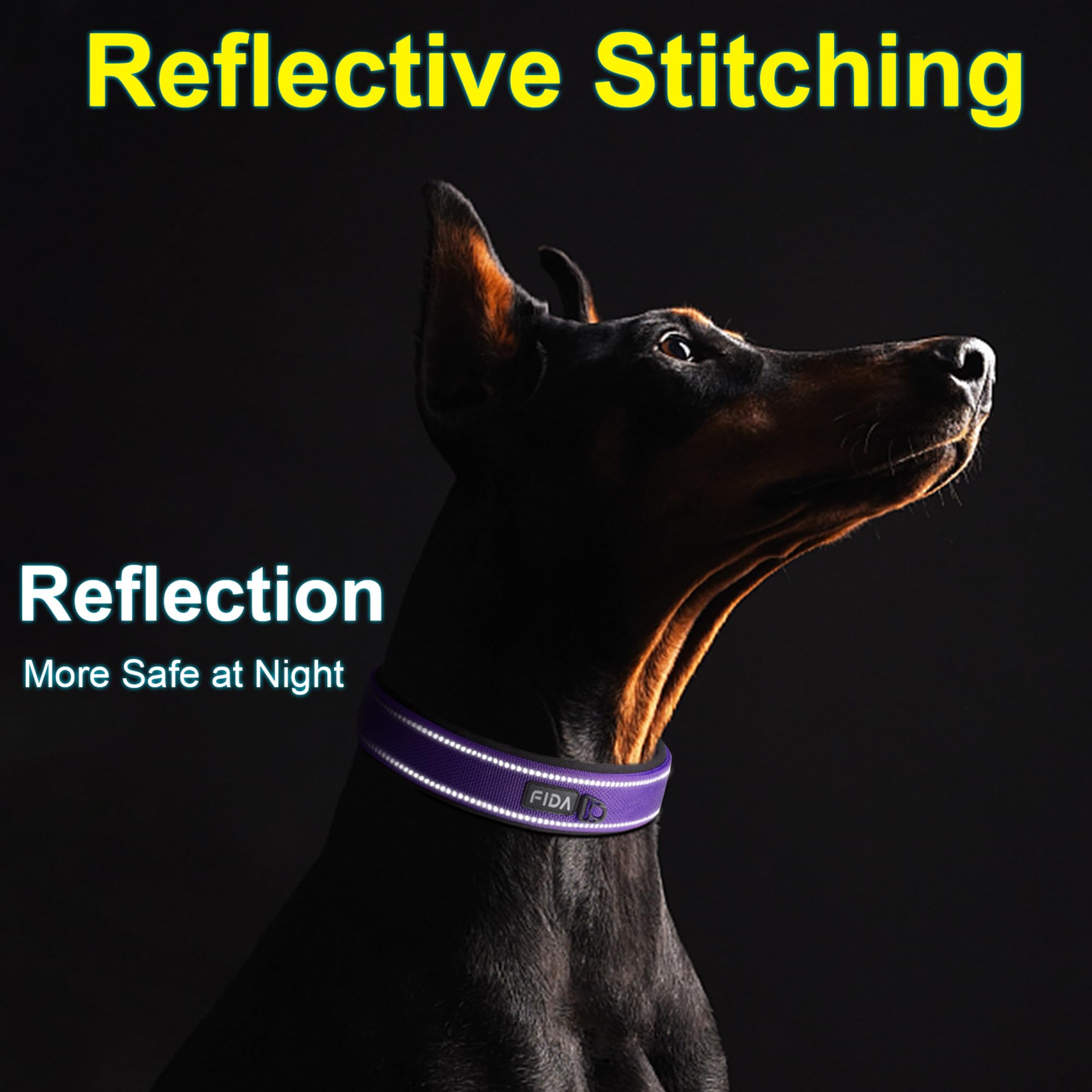 Fida dog collar shown with its adjustable sizing strap.