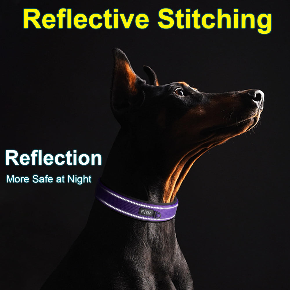 Fida dog collar shown with its adjustable sizing strap.
