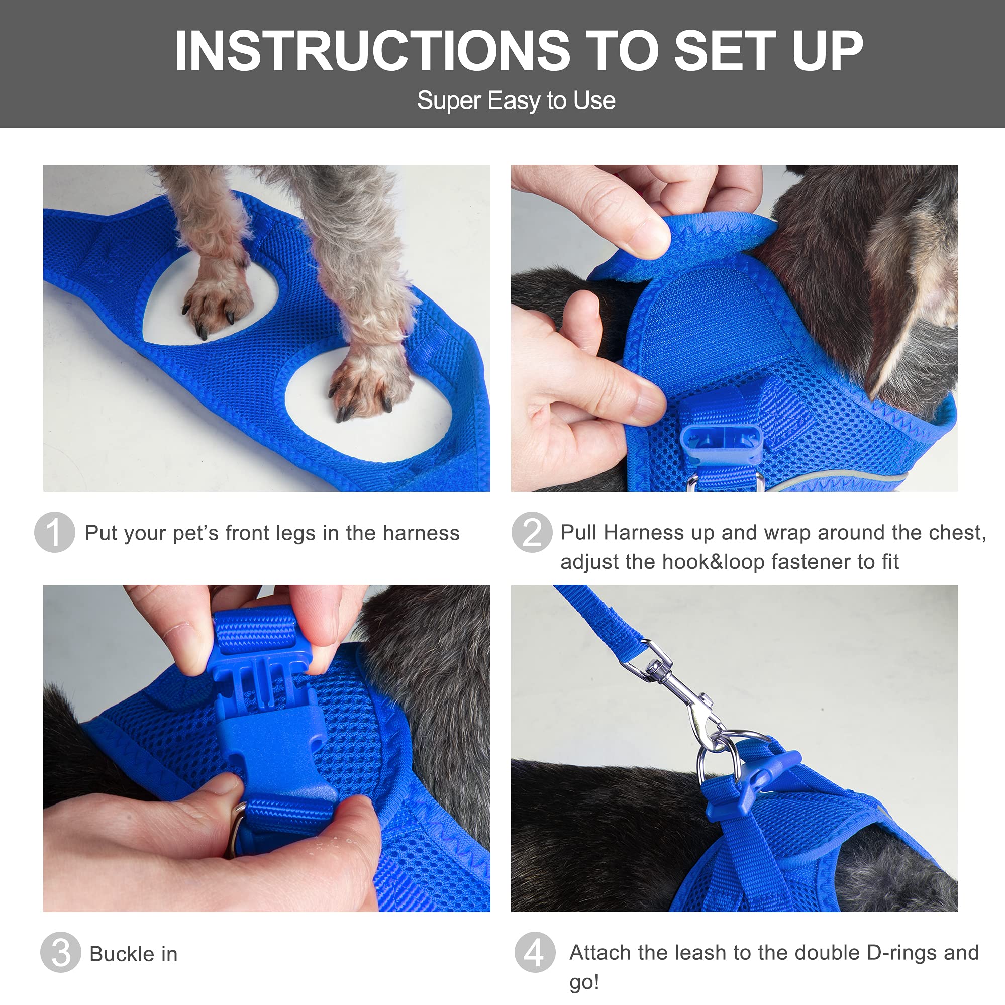 Fida dog harness and included leash shown together.