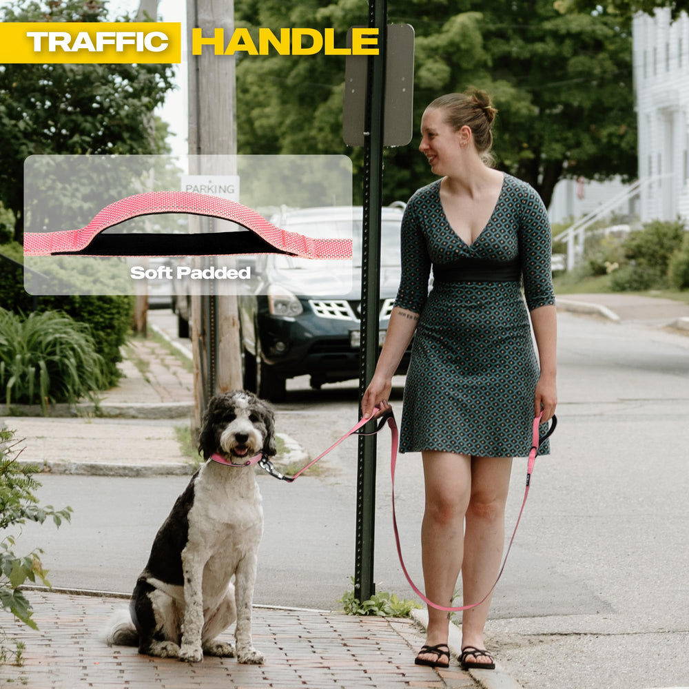 Fida dog leash showing the closer traffic handle near the collar end.