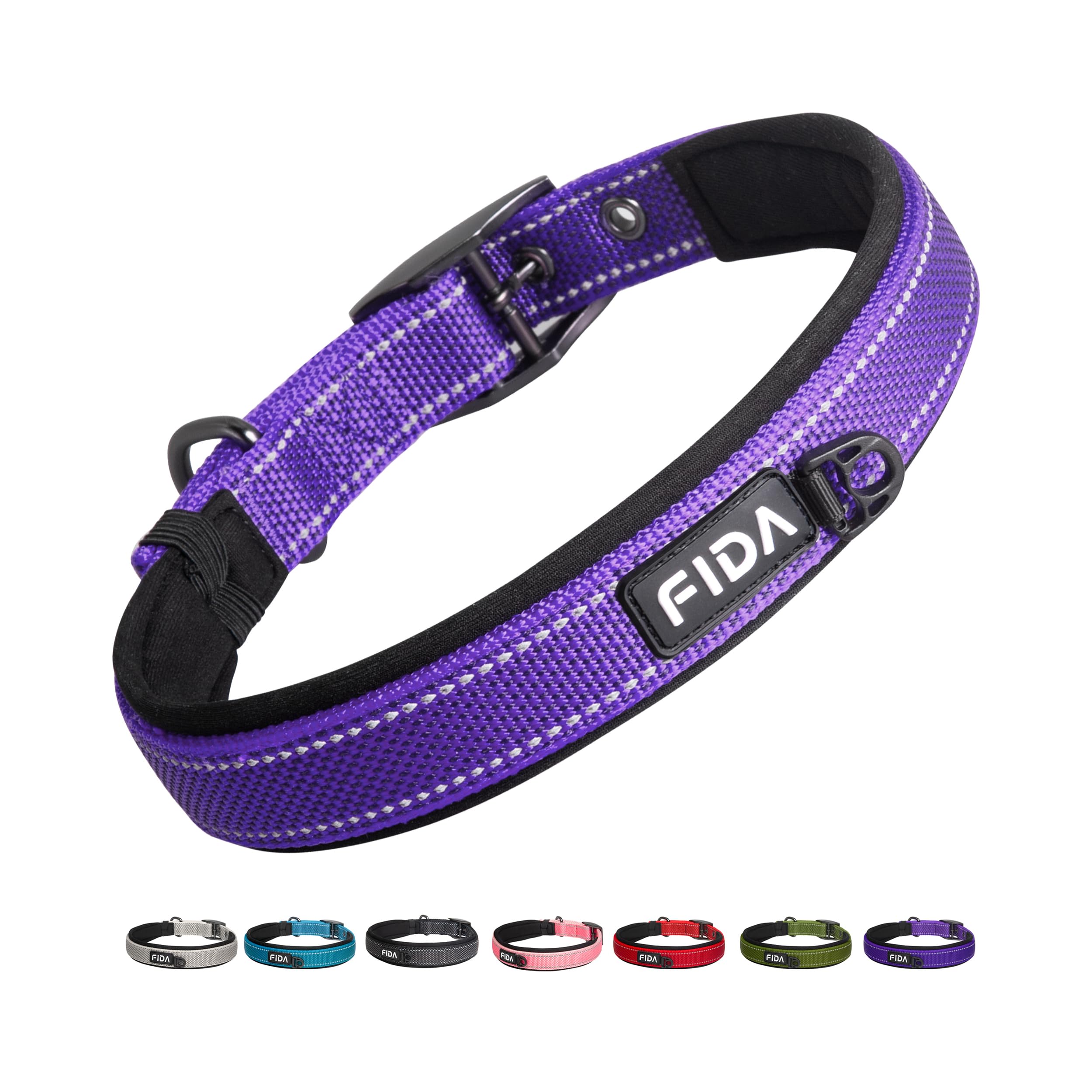 Fida purple dog collar shown from the front.