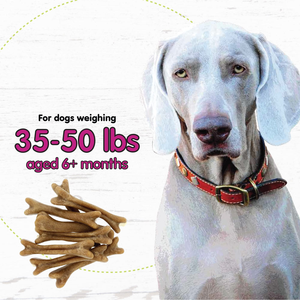 Fido Belly Bones three-pack showing the bags included in the 24-treat pack.