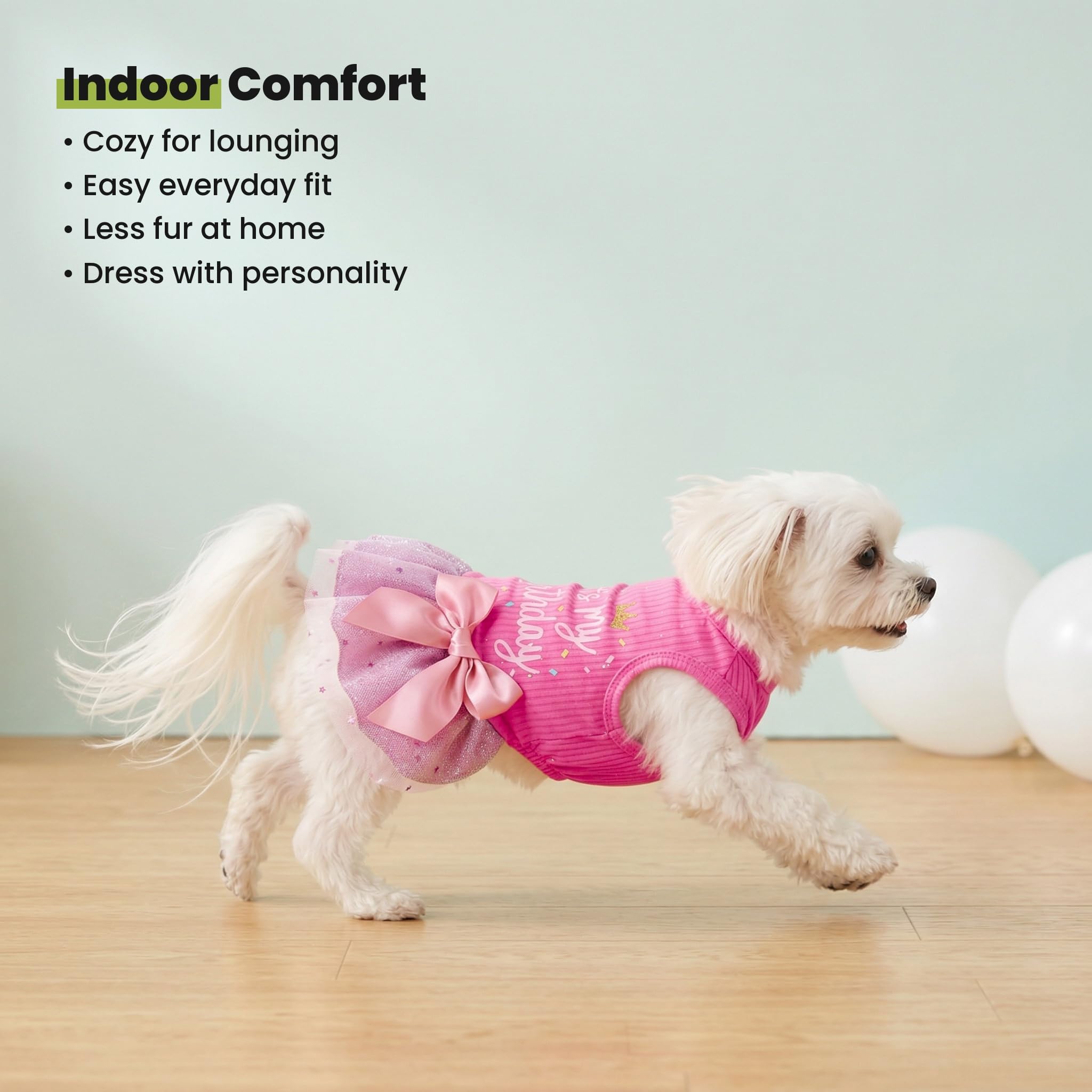 Fitwarm birthday dog dress modeled on a small dog.