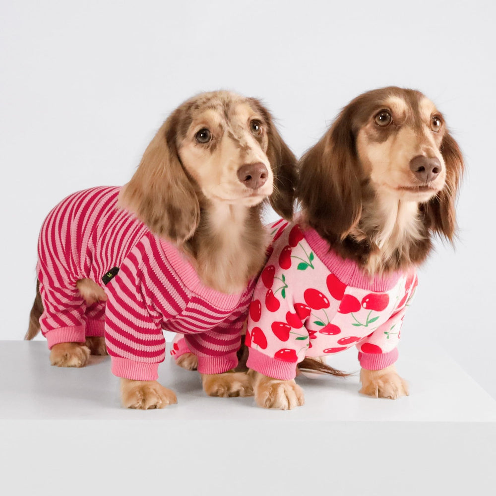 Fitwarm cherry dog pajamas shown on a pet relaxing at home.