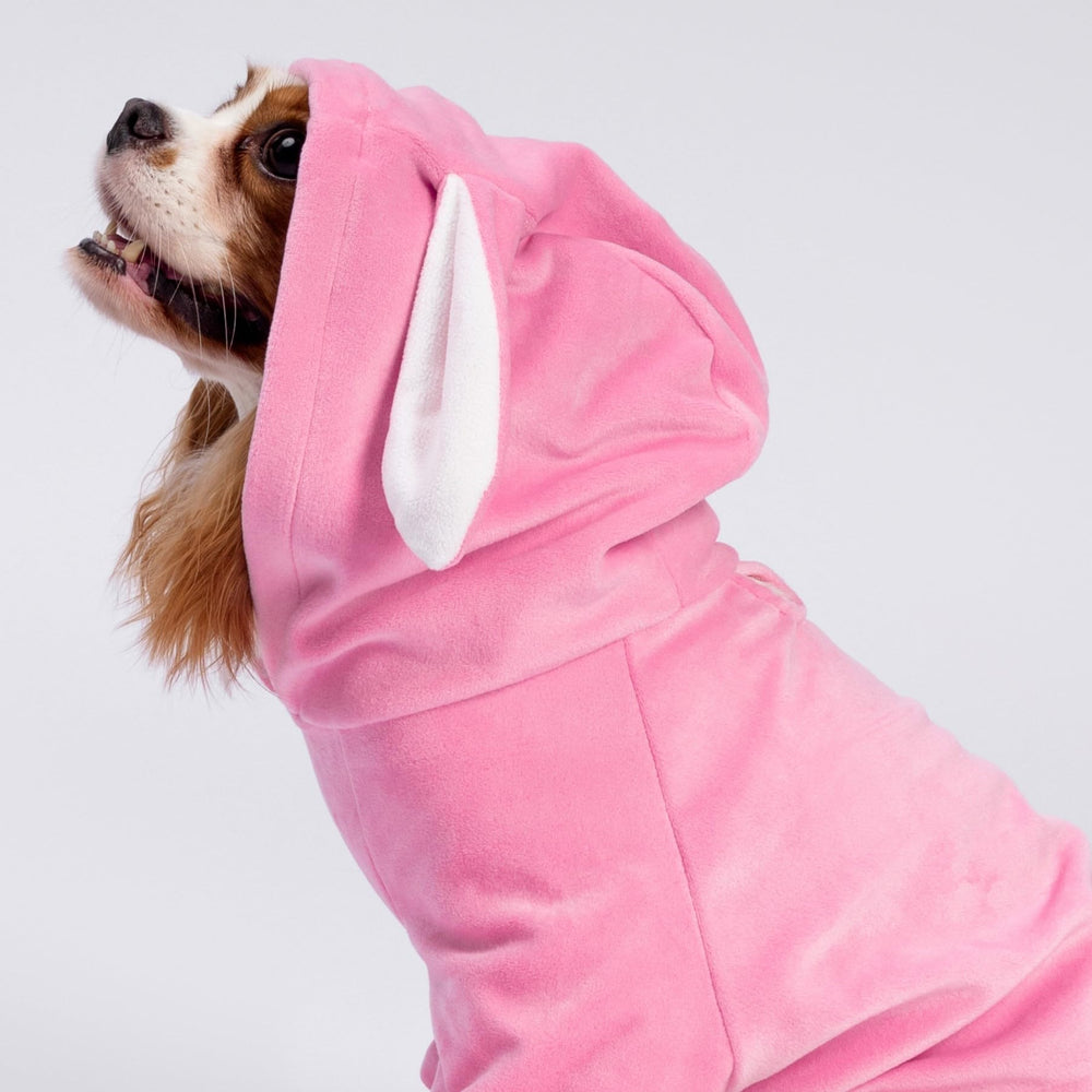 Fitwarm Dog Bunny Costume shown being worn by a small dog.
