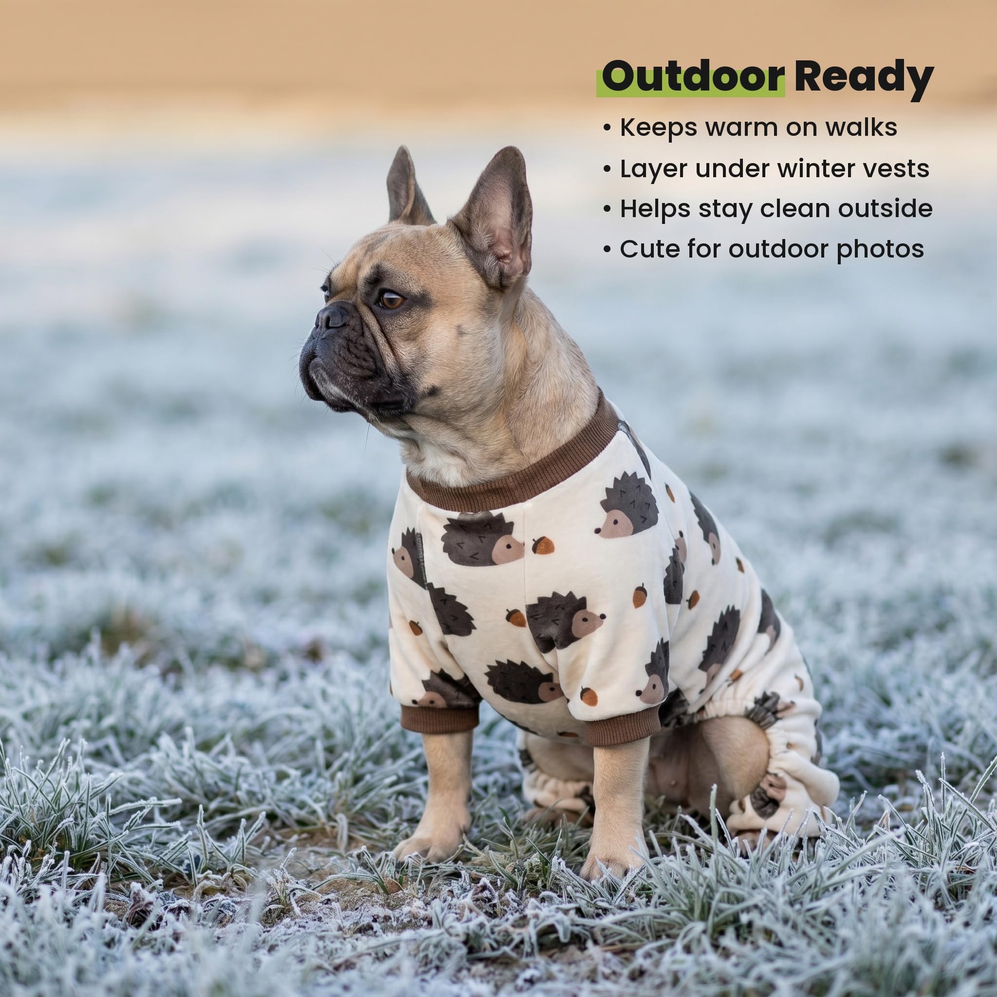 Fitwarm dog pajamas shown from the back to display the full-coverage fit.
