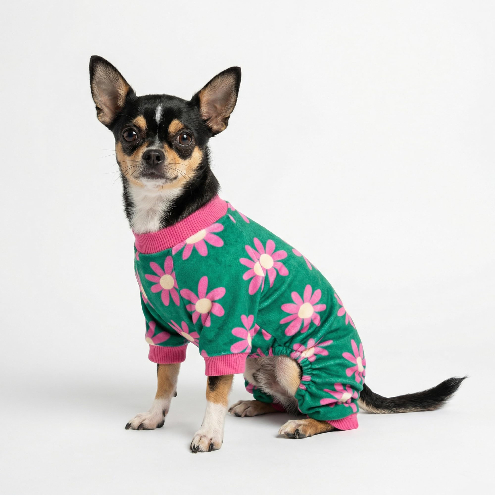 Fitwarm dog pajamas detail showing the long legs and footed design.