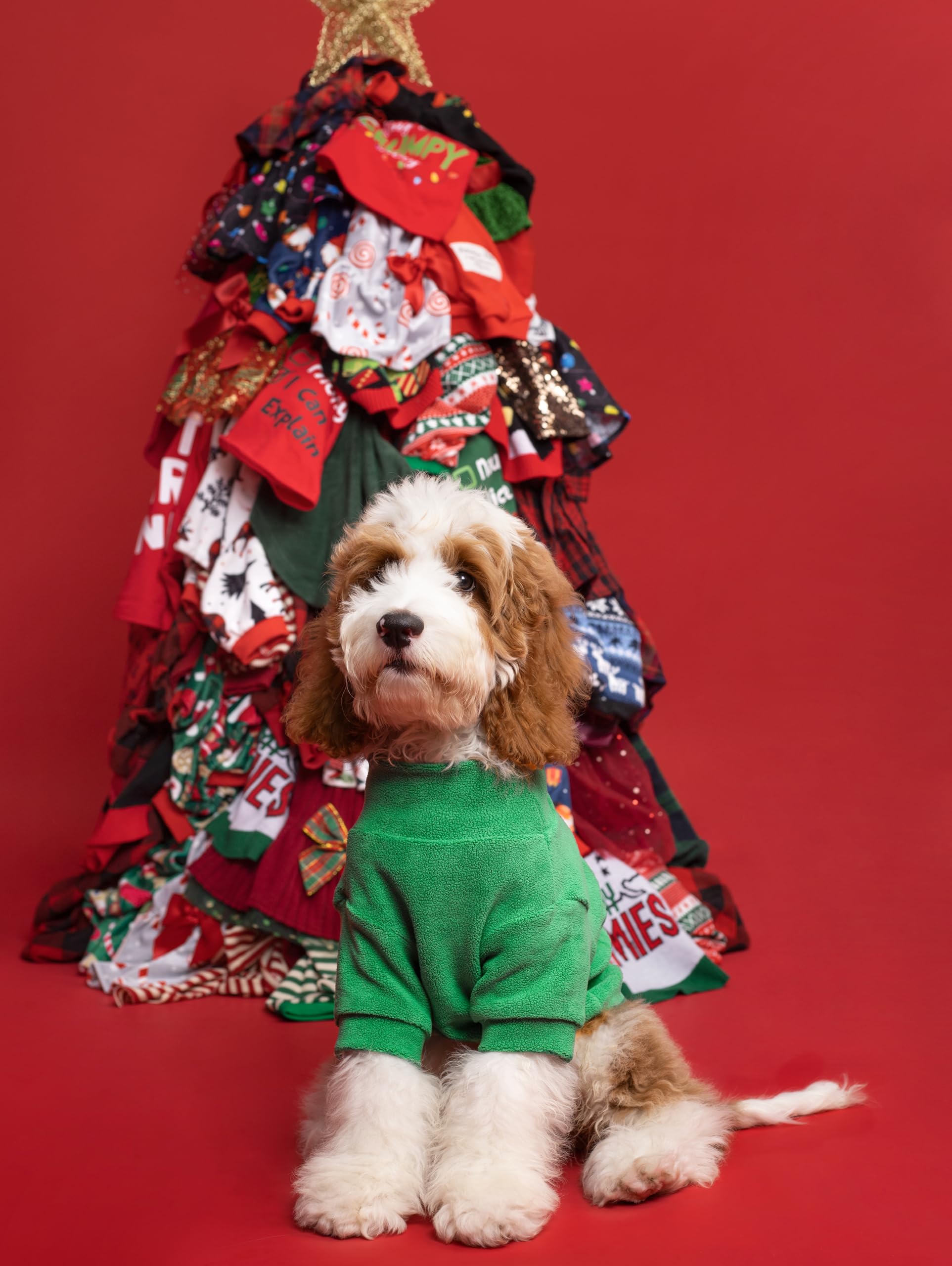 Fitwarm dog sweater shown from the front to display its classic pullover shape.